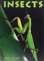 Vorderes Coverbild Insects