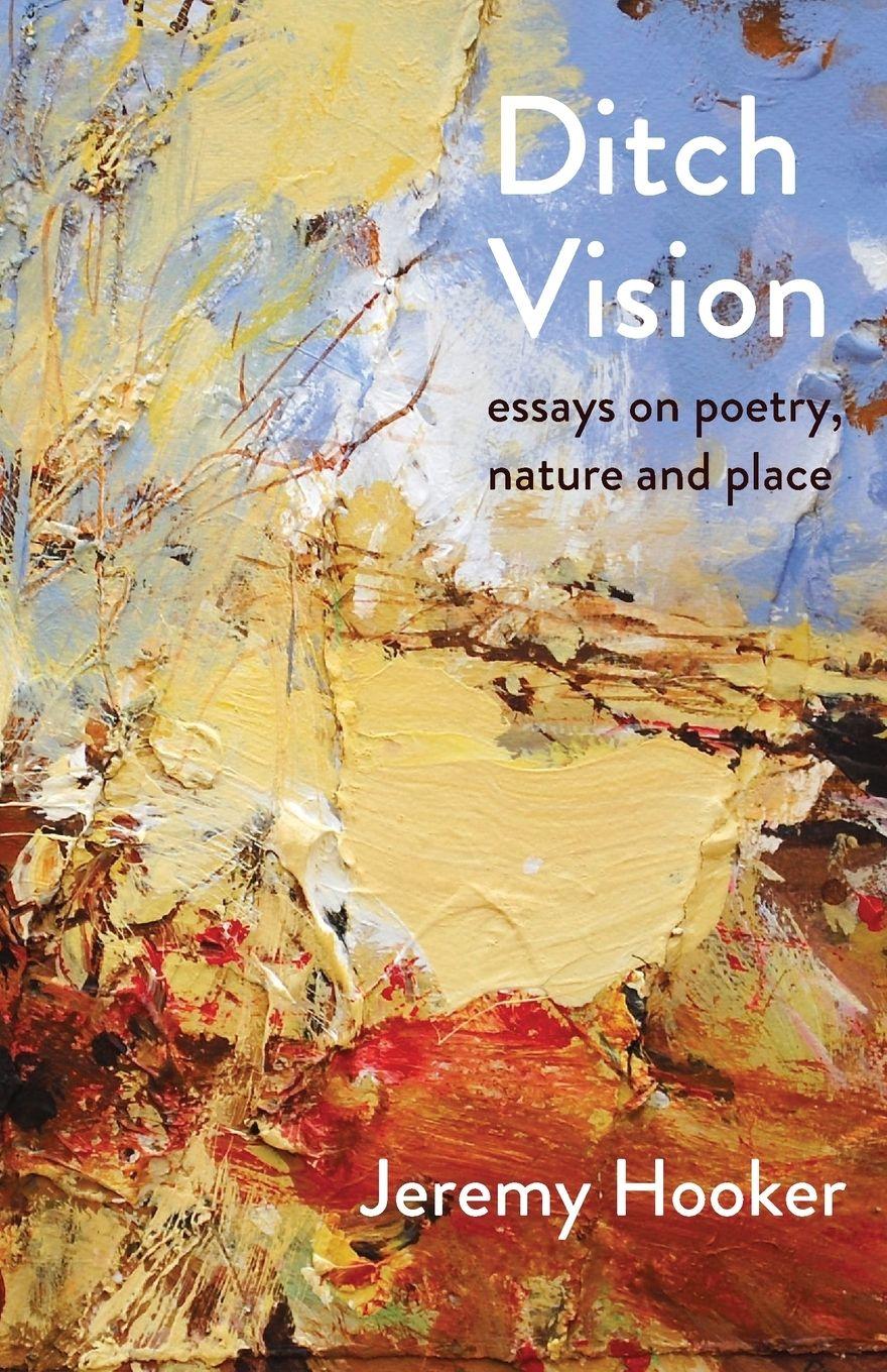 Vorderes Coverbild Ditch Vision