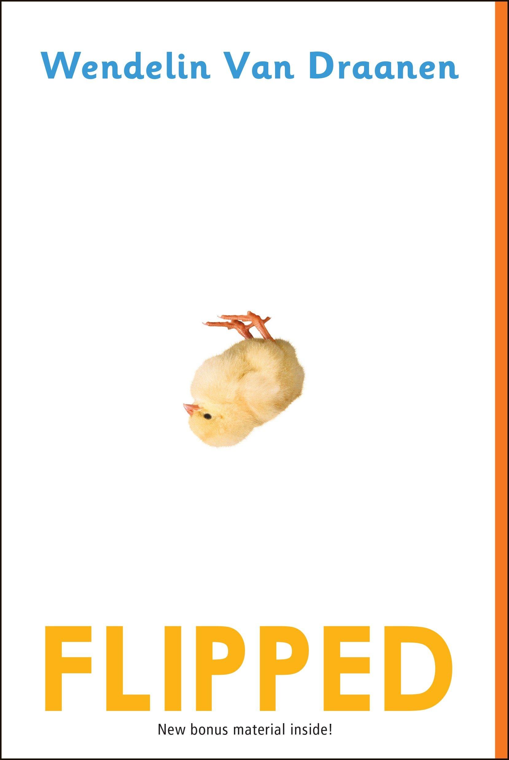 Vorderes Coverbild Flipped