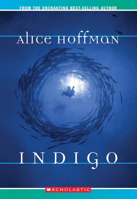 Vorderes Coverbild Indigo