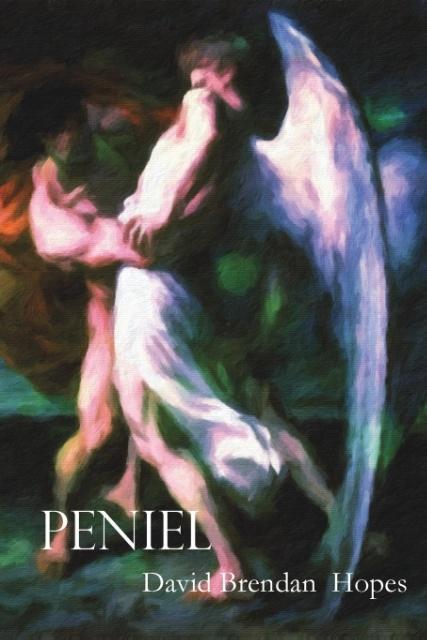 Vorderes Coverbild PENIEL