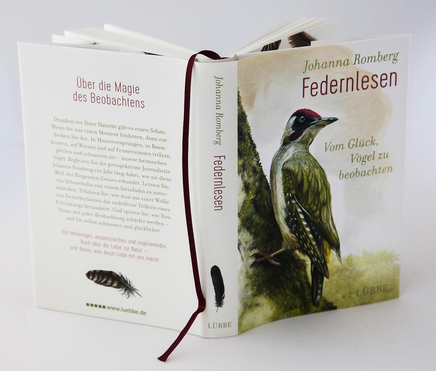 Beispielinhalt (Bild) Federnlesen