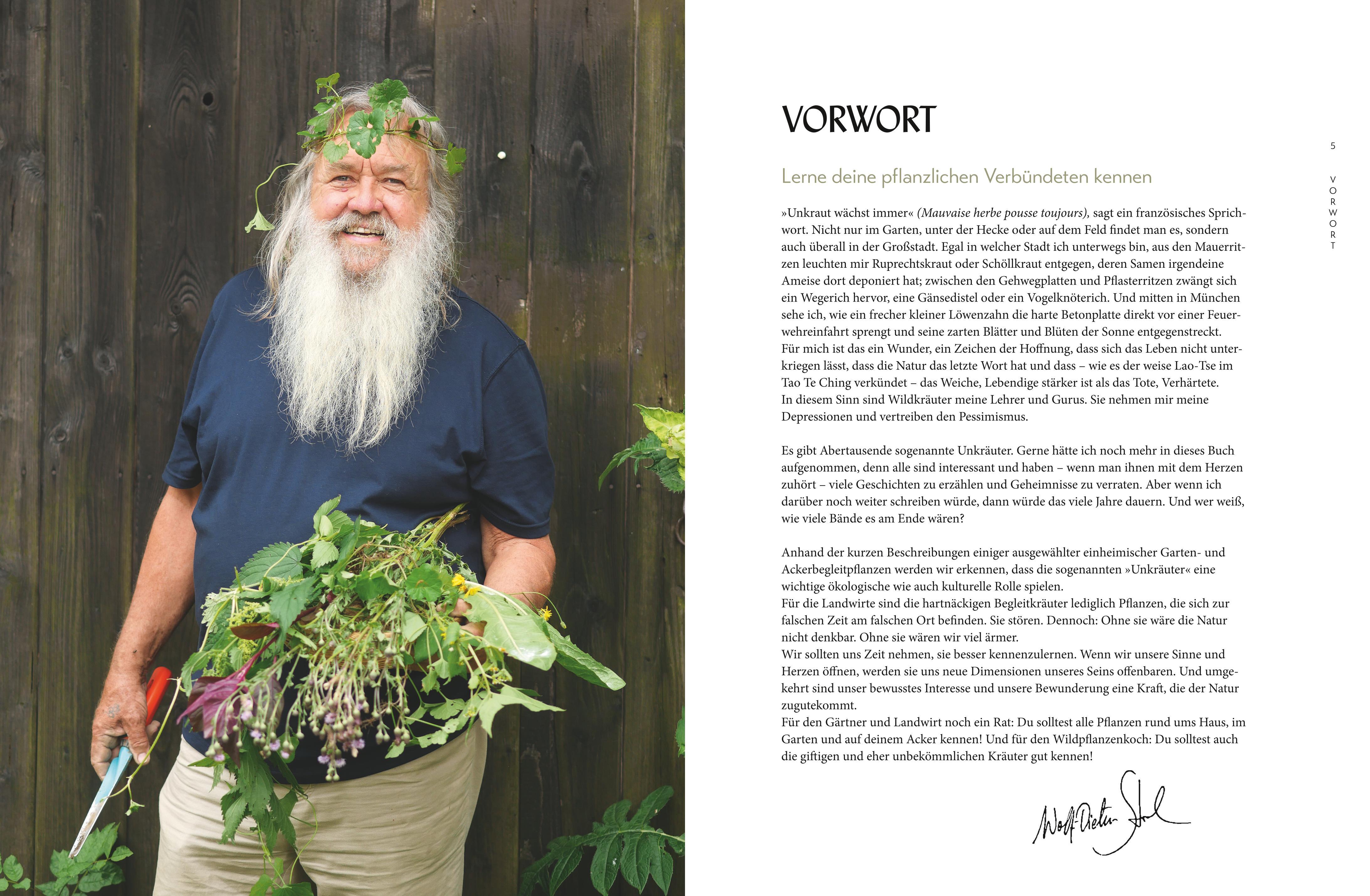 Beispielinhalt (Bild) Die "Unkräuter" in meinem Garten