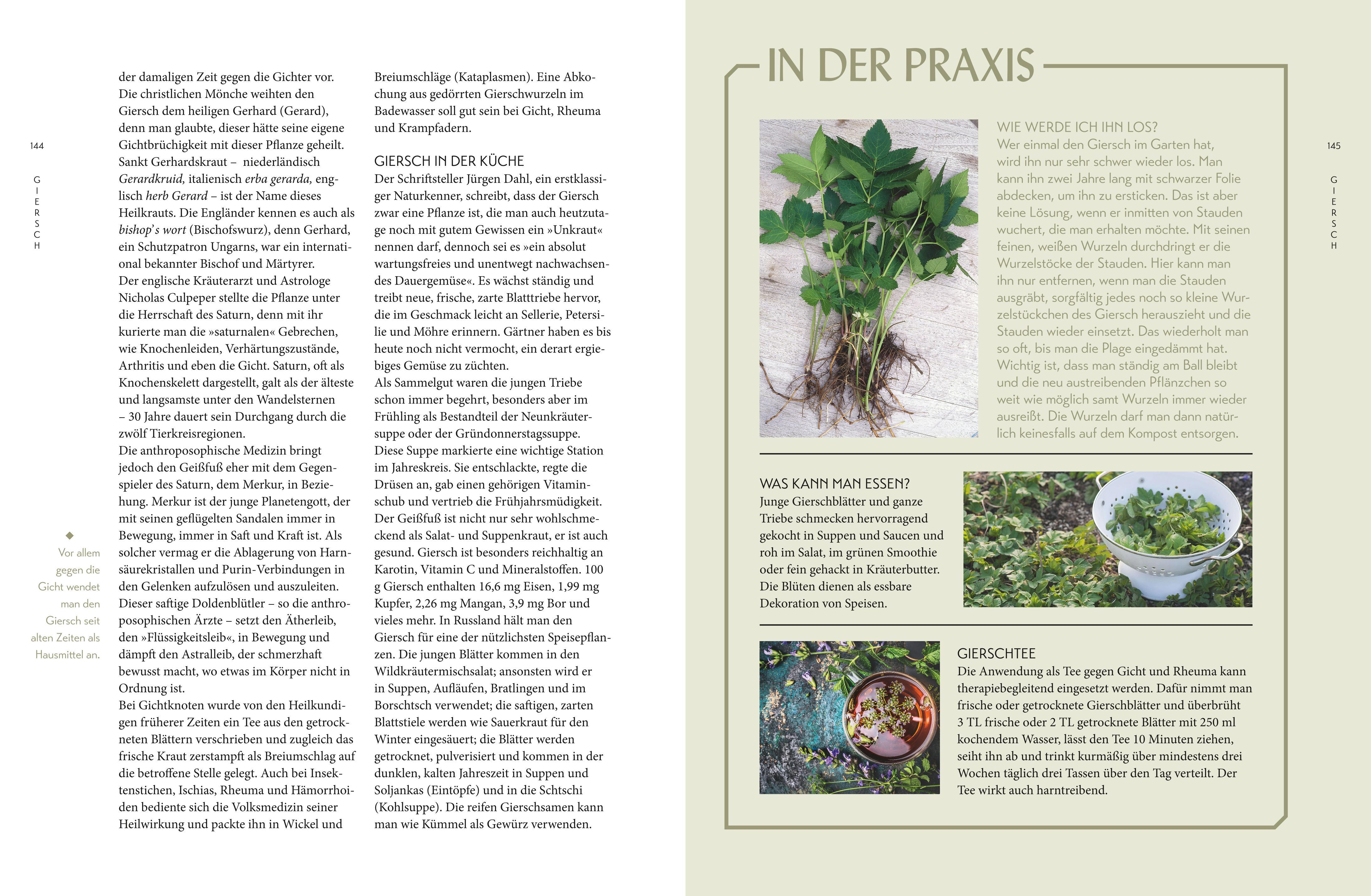 Beispielinhalt (Bild) Die "Unkräuter" in meinem Garten
