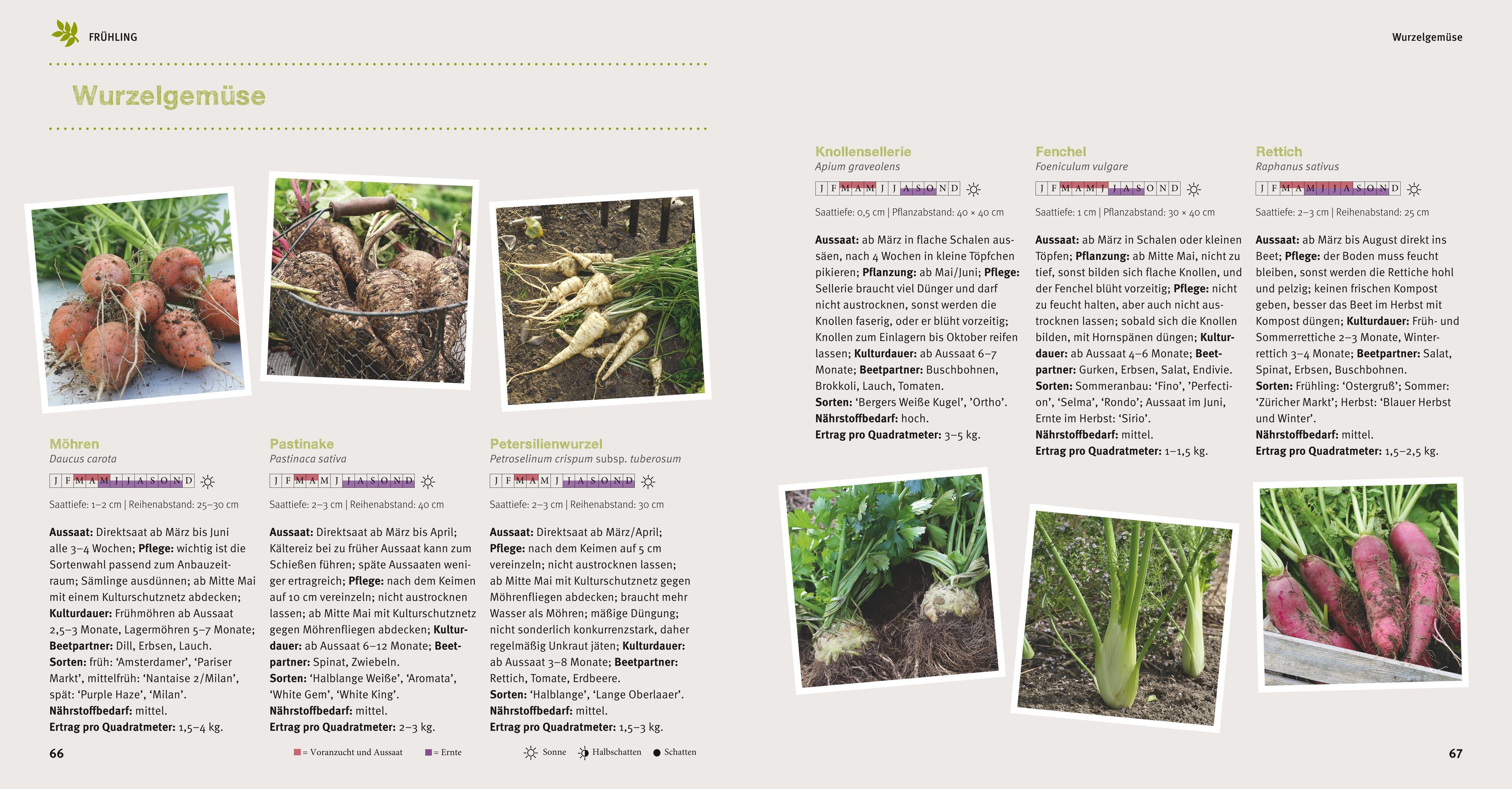 Beispielinhalt (Bild) Selbstversorger Basics