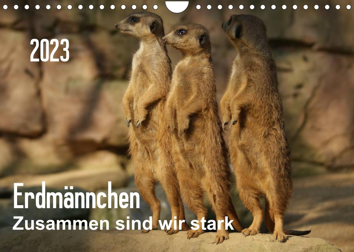 Vorderes Coverbild The Principles of Discipleship