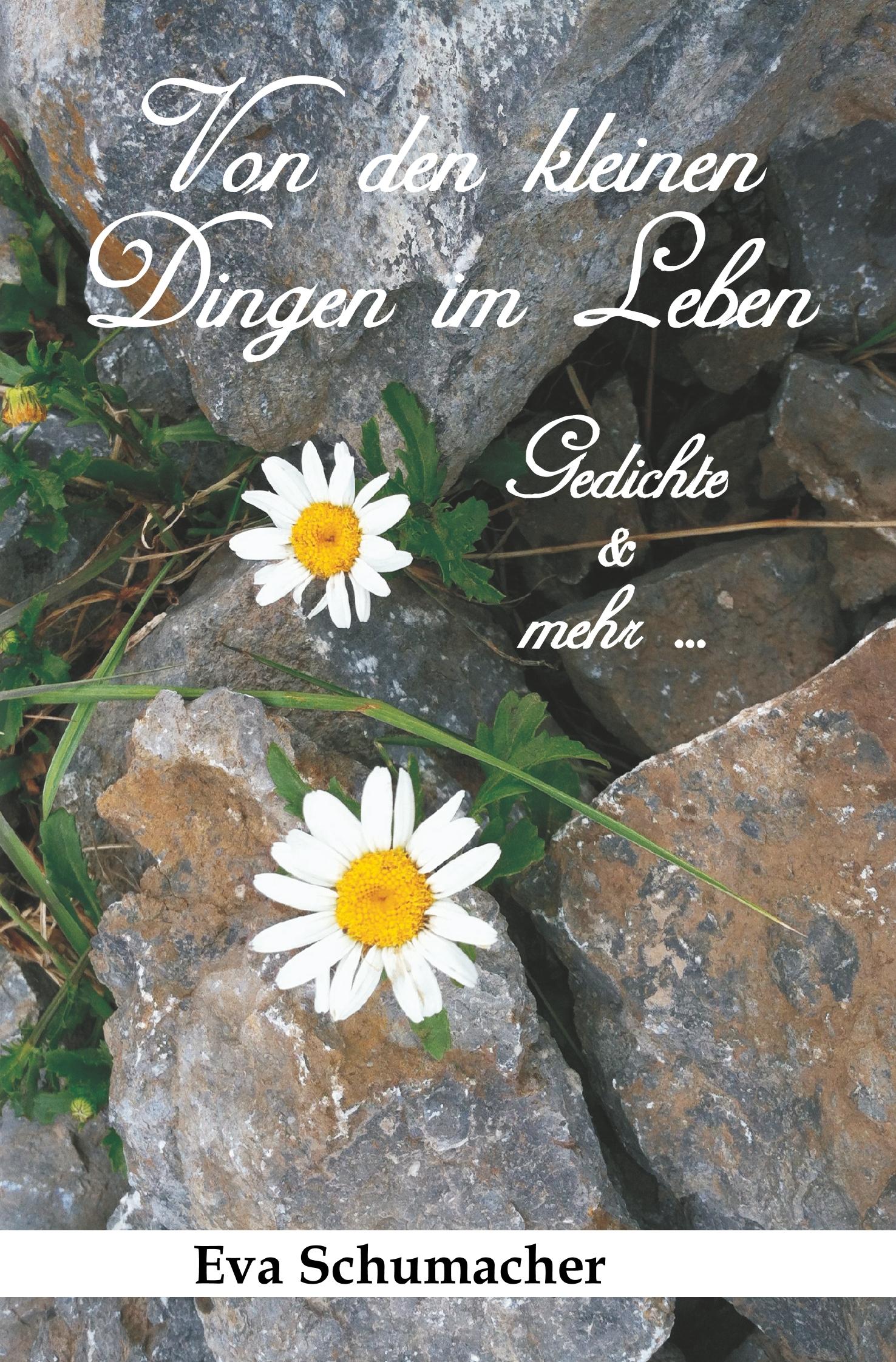 Vorderes Coverbild Von den kleinen Dingen im Leben