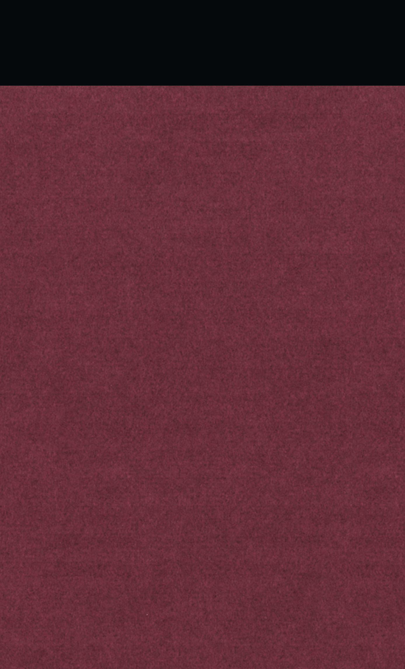 Rückseitencover Gesammelte Werke 04. Einladung zur Enthauptung