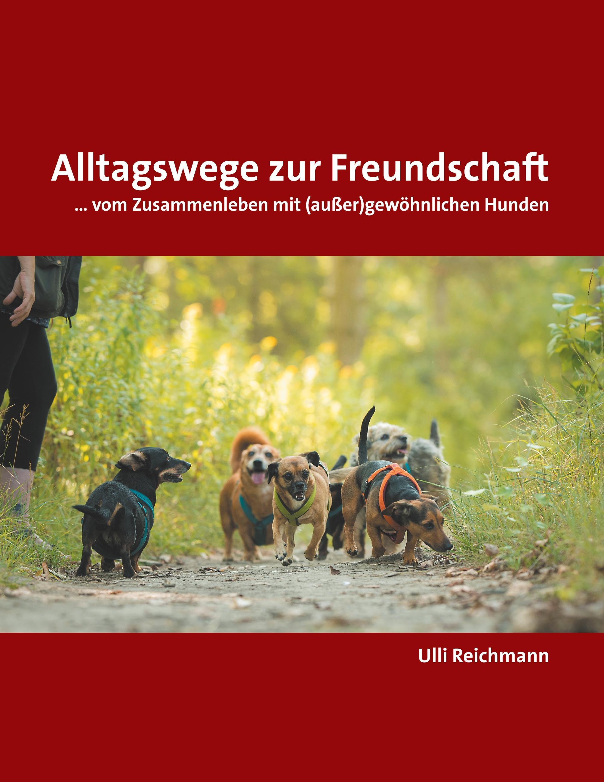 Vorderes Coverbild Alltagswege zur Freundschaft