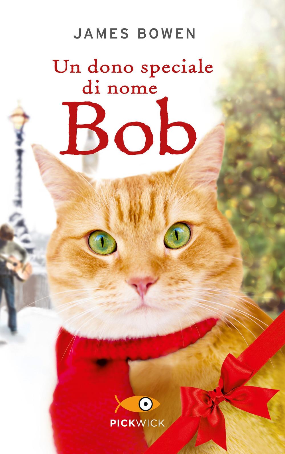 Vorderes Coverbild Un dono speciale di nome Bob