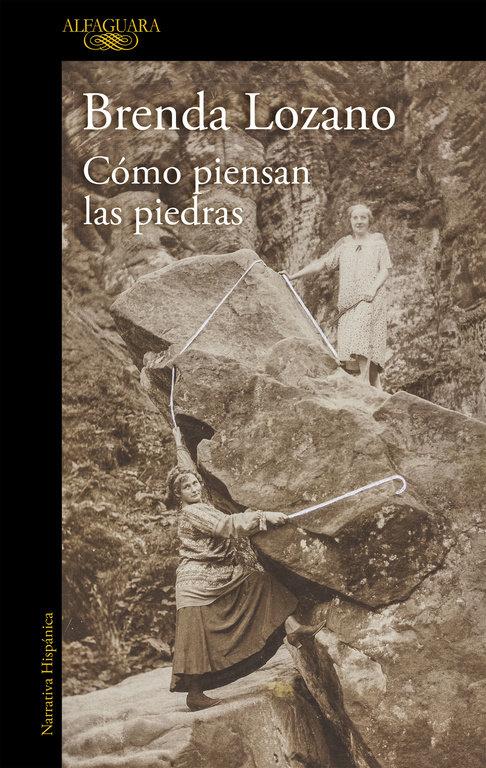 Vorderes Coverbild Cómo piensan las piedras