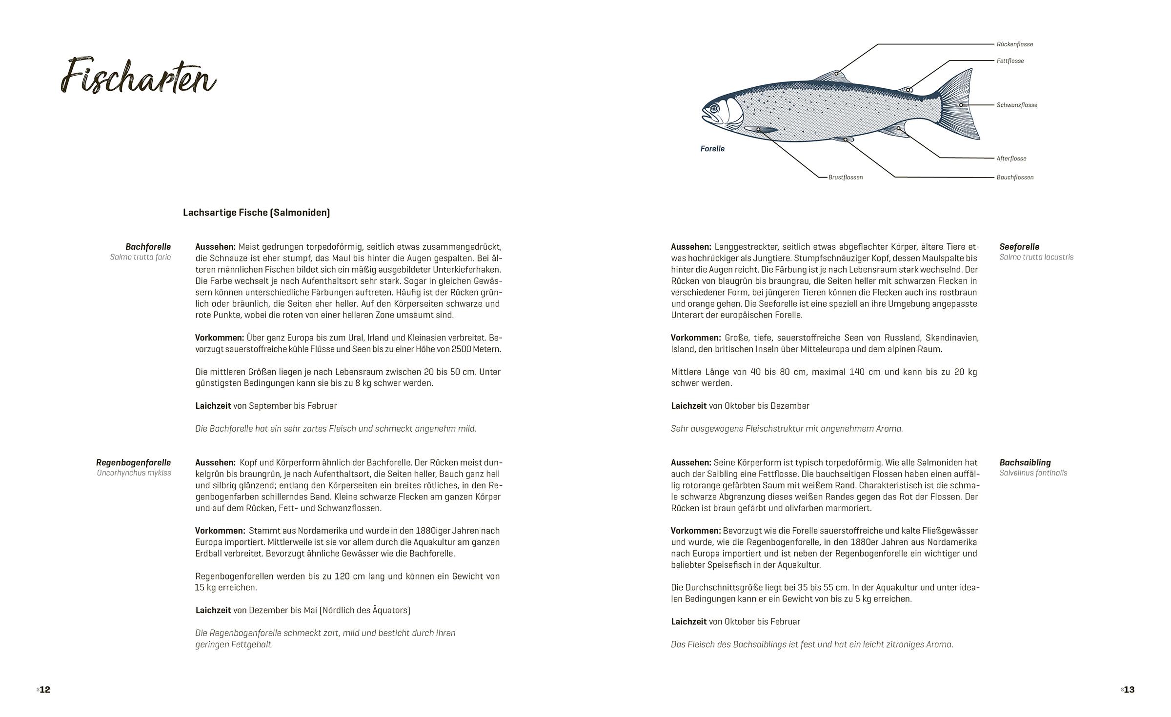 Beispielinhalt (Bild) Fisch echt einfach