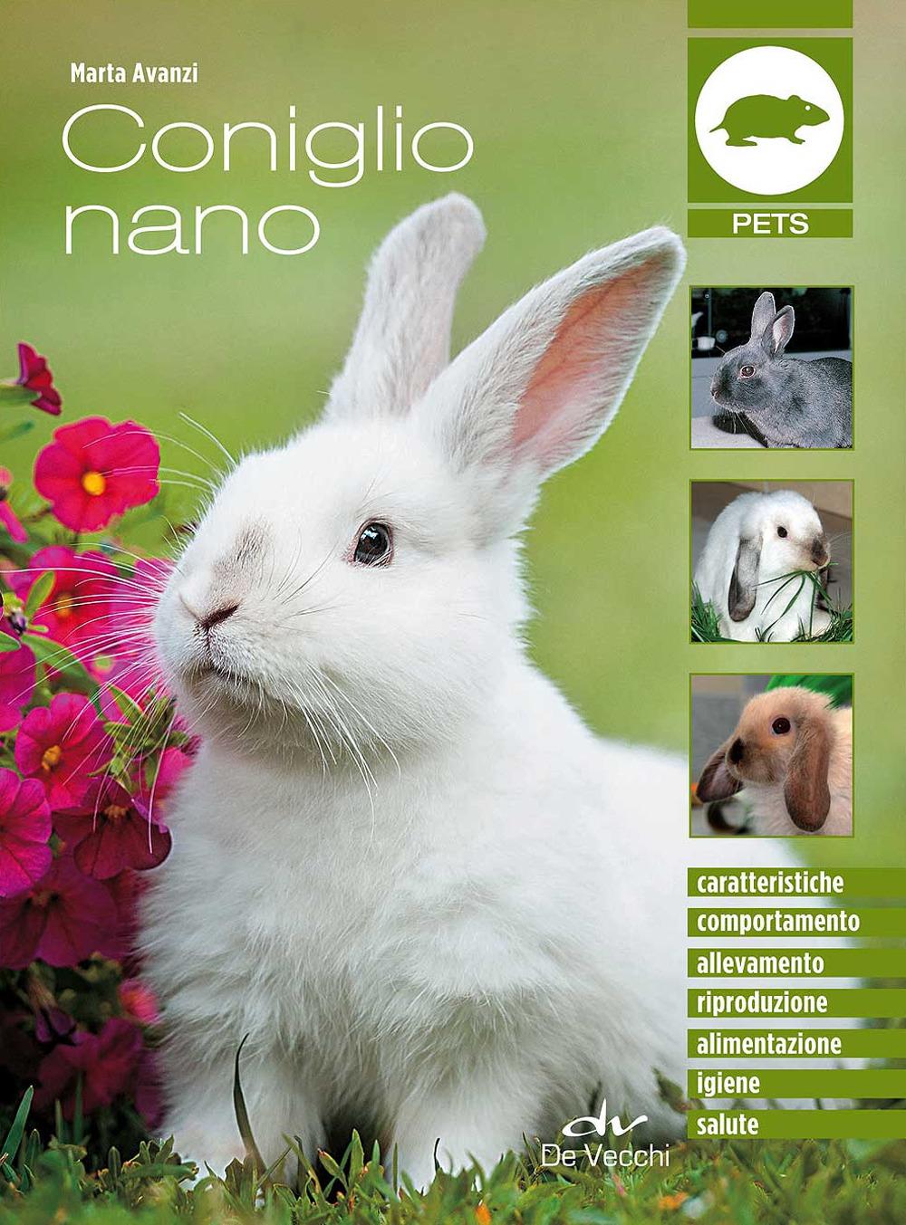 Vorderes Coverbild Coniglio nano