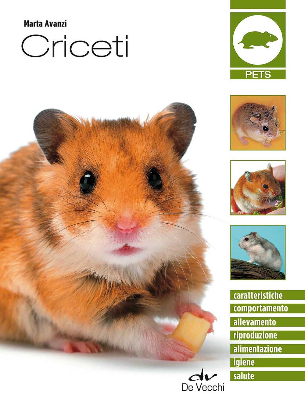 Vorderes Coverbild I criceti
