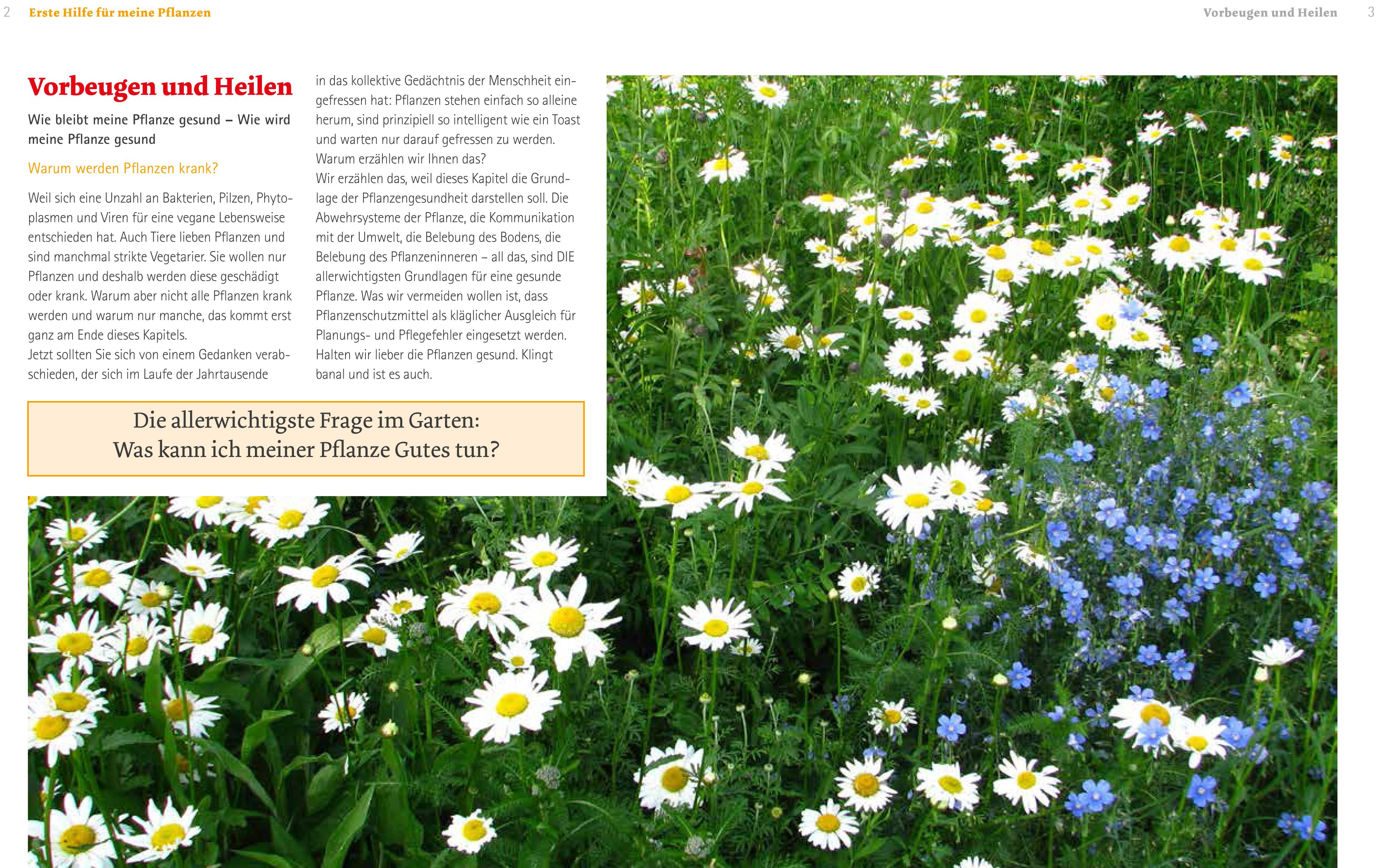 Beispielinhalt (Bild) Handbuch Pflanzenschutz im Biogarten
