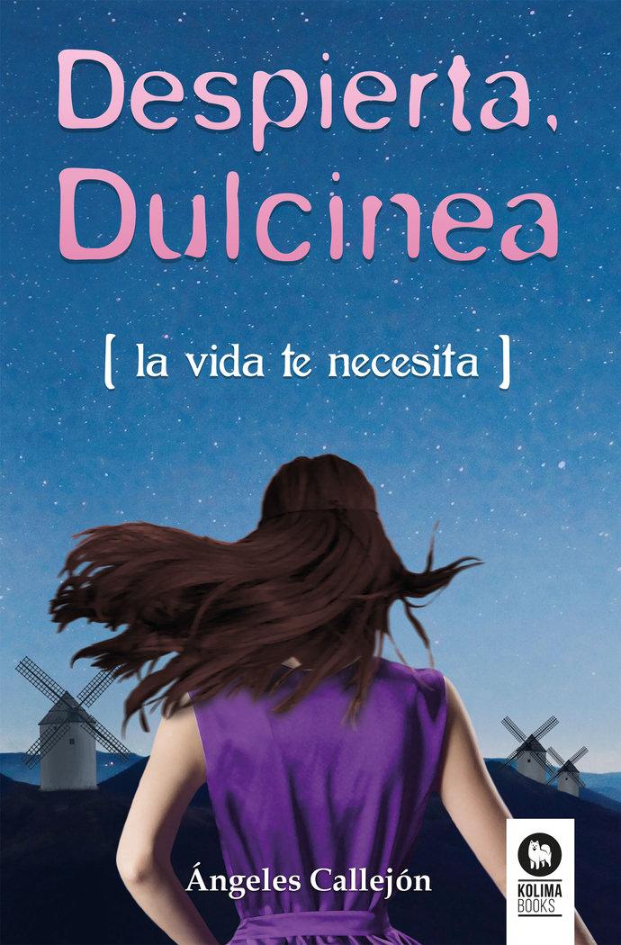Vorderes Coverbild Despierta, Dulcinea : la visa te necesita