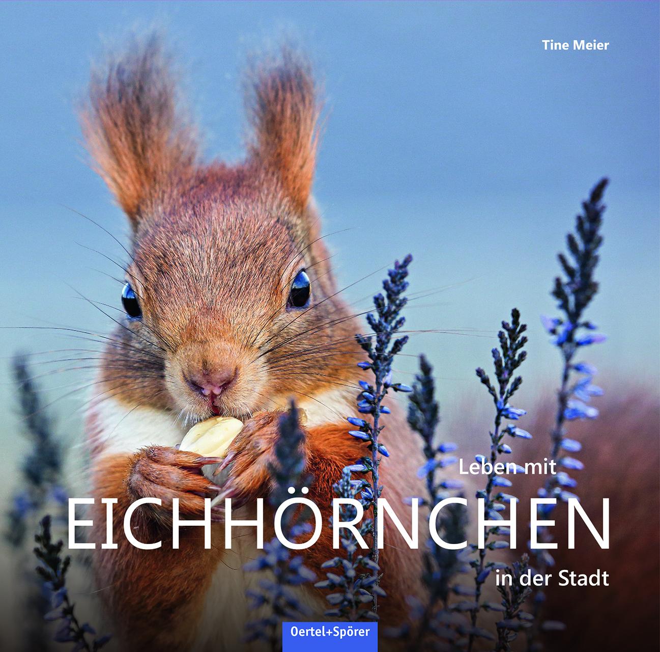 Vorderes Coverbild Leben mit Eichhörnchen in der Stadt