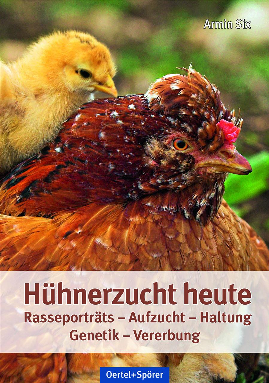 Vorderes Coverbild Hühnerzucht heute