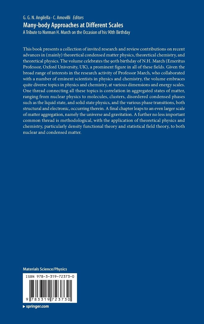 Rückseitencover Many-body Approaches at Different Scales