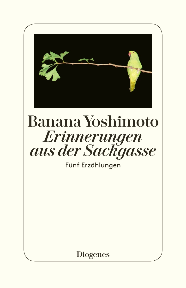Vorderes Coverbild Erinnerungen aus der Sackgasse