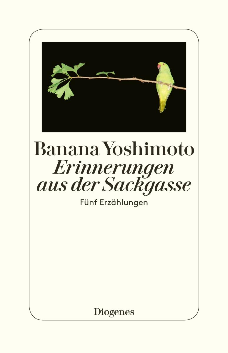 Vorderes Coverbild Erinnerungen aus der Sackgasse
