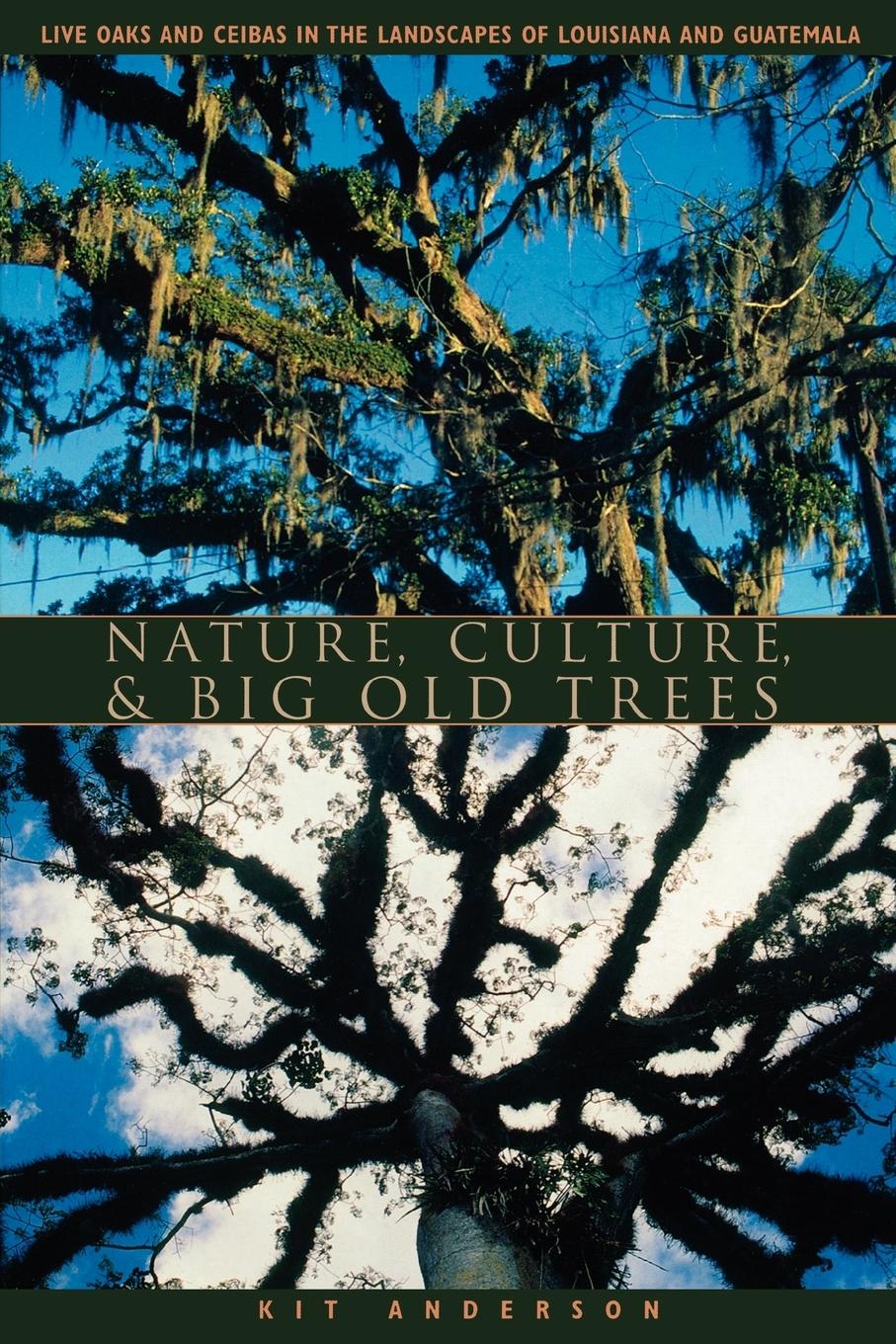 Vorderes Coverbild Nature, Culture, and Big Old Trees