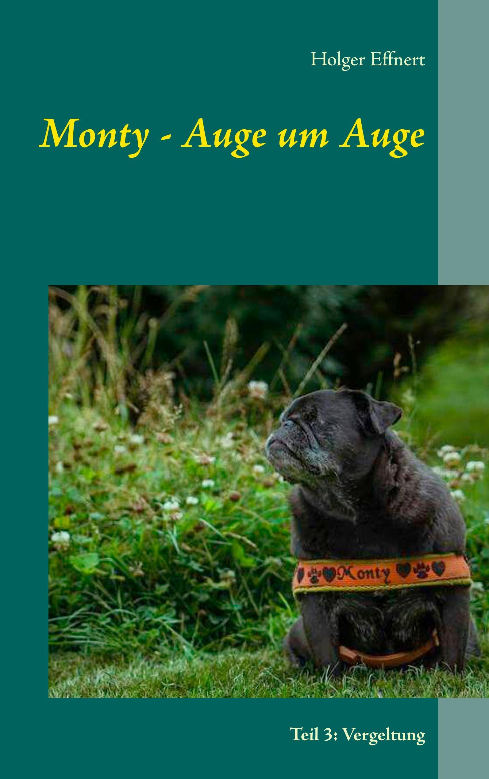 Vorderes Coverbild Monty - Auge um Auge