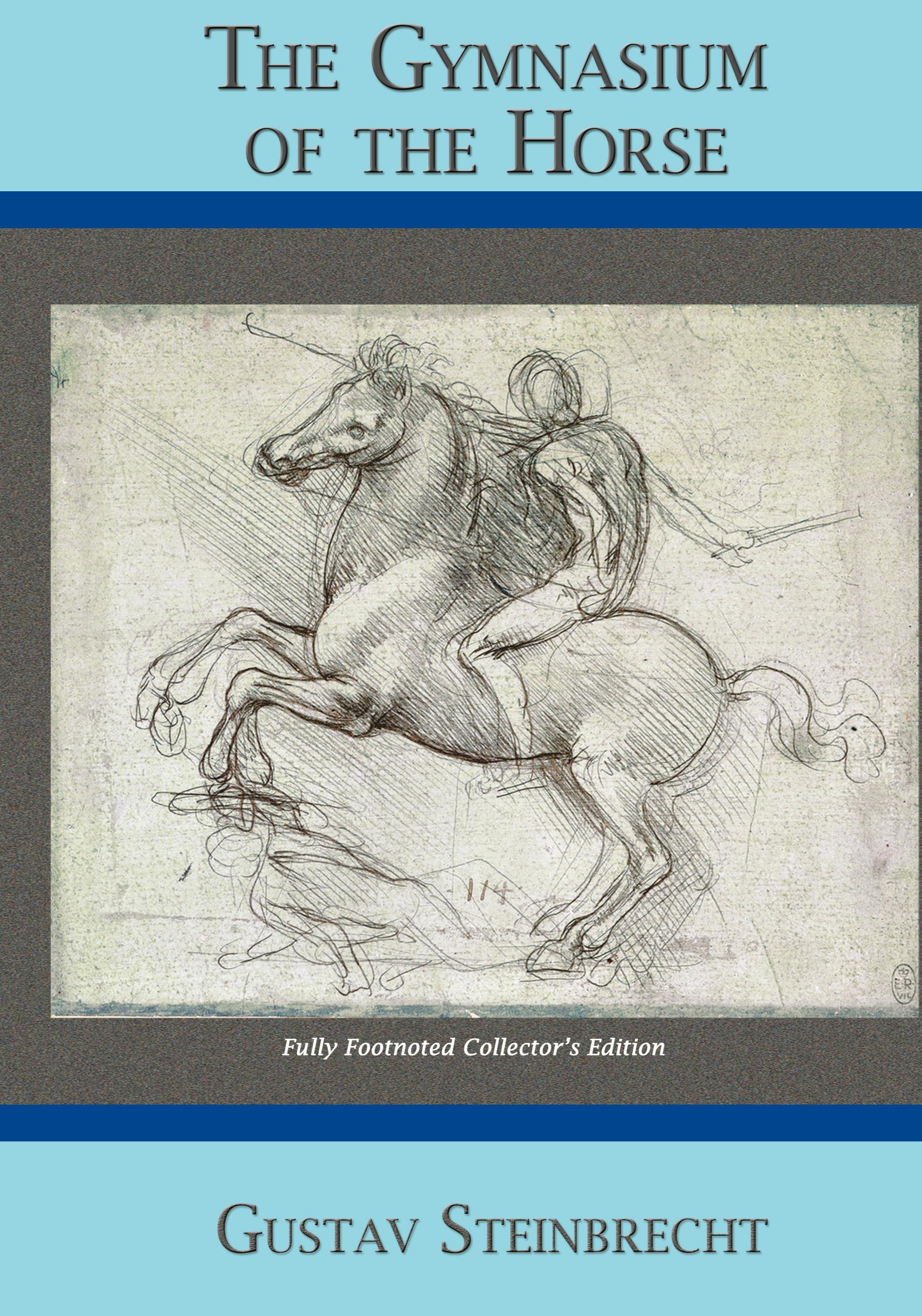 Vorderes Coverbild Gymnasium of the Horse