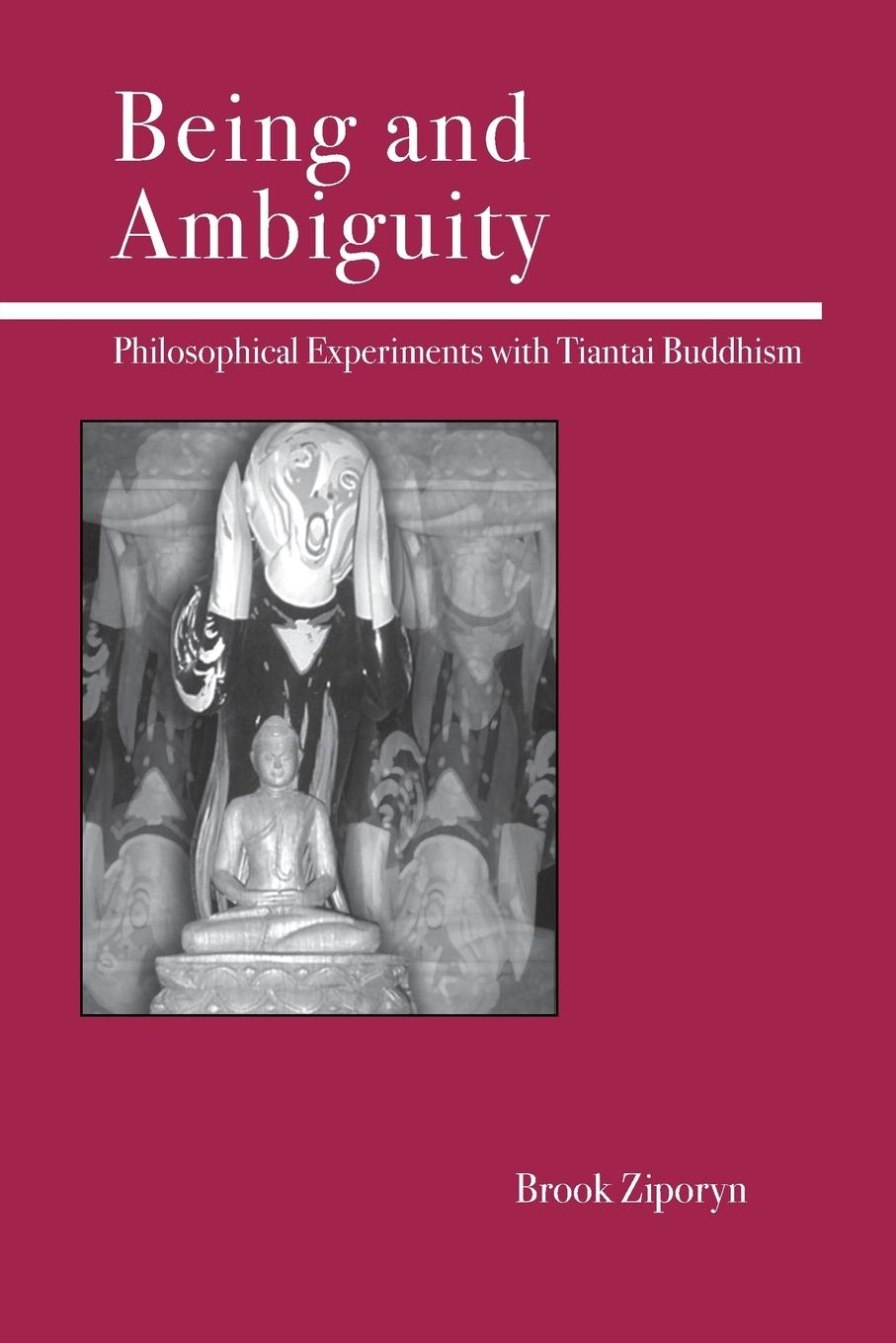 Vorderes Coverbild Being and Ambiguity