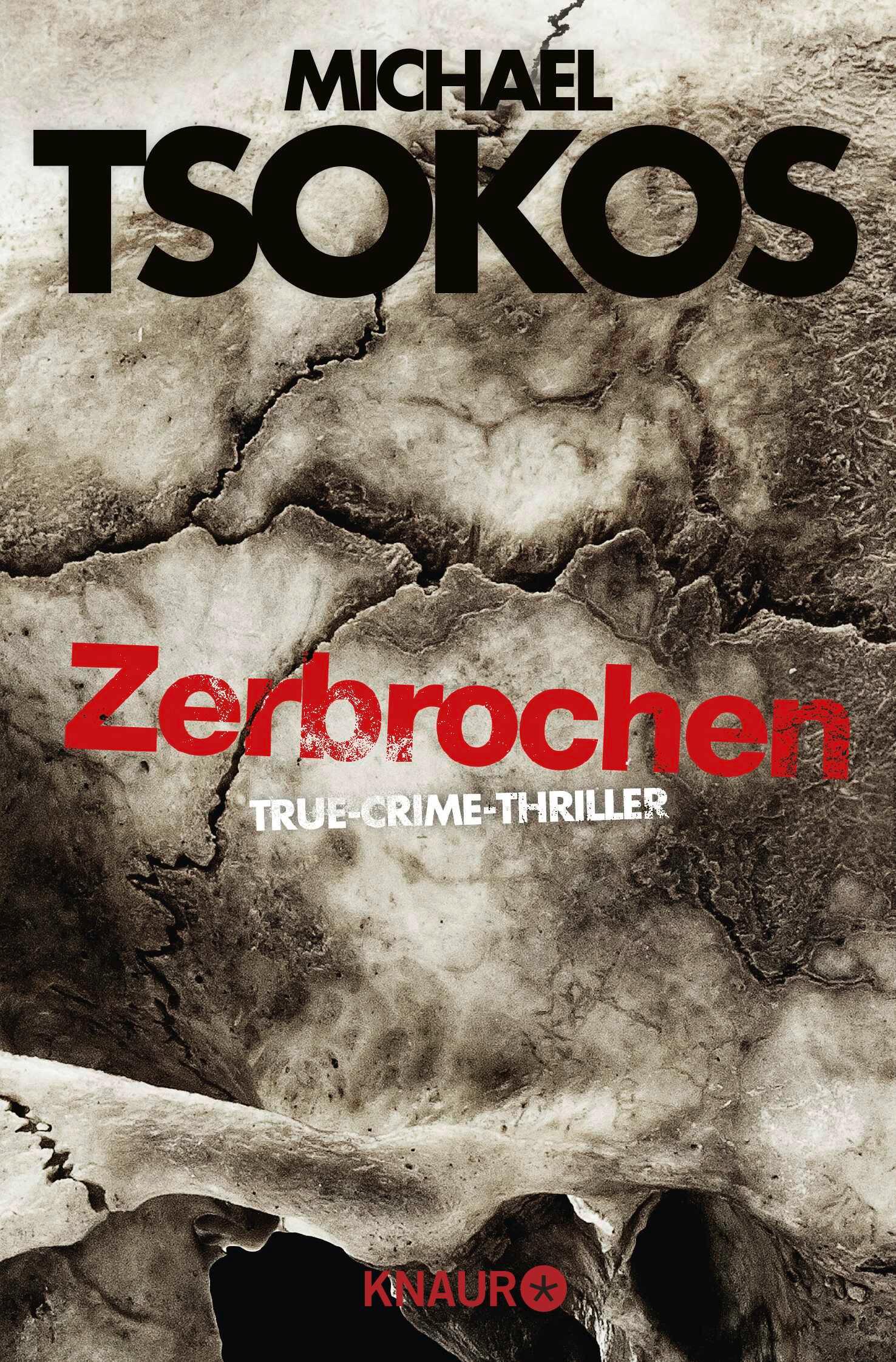 Vorderes Coverbild Zerbrochen