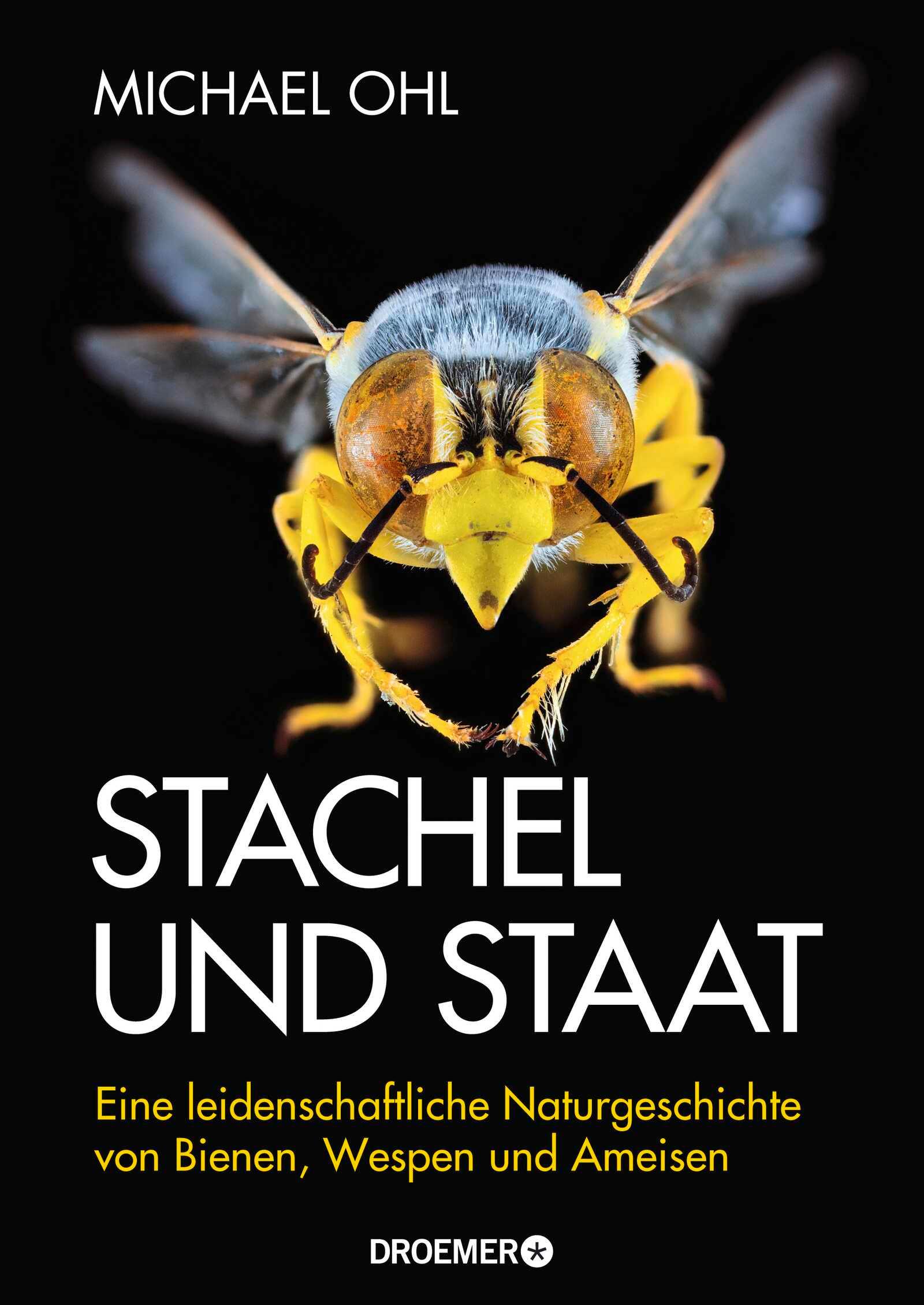 Vorderes Coverbild Stachel und Staat