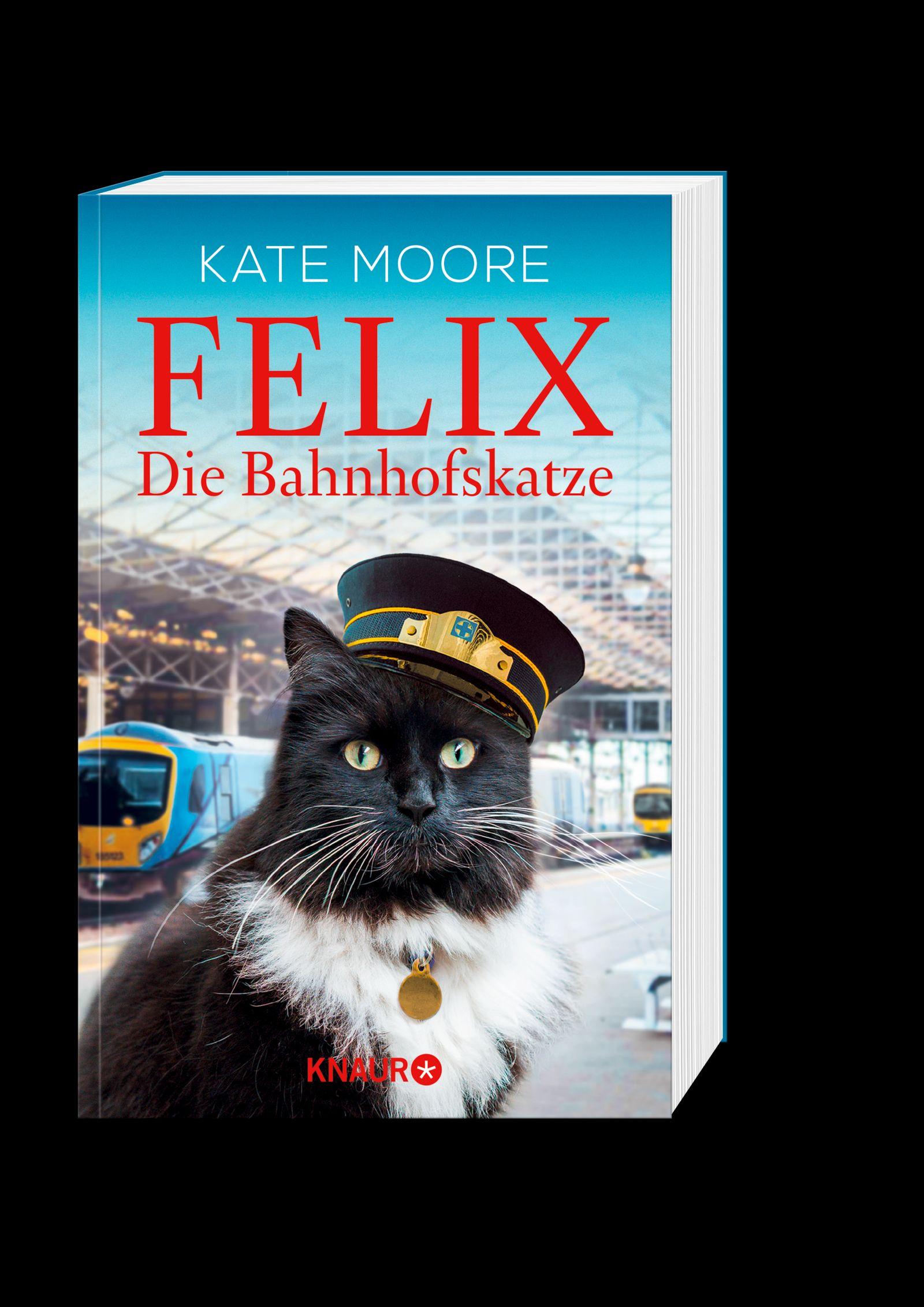 Beispielinhalt (Bild) Felix - Die Bahnhofskatze