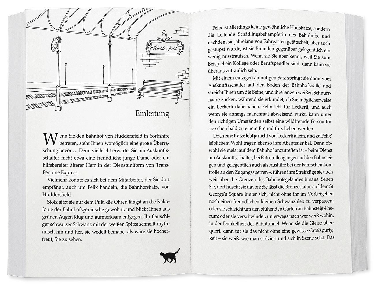 Beispielinhalt (Bild) Felix - Die Bahnhofskatze