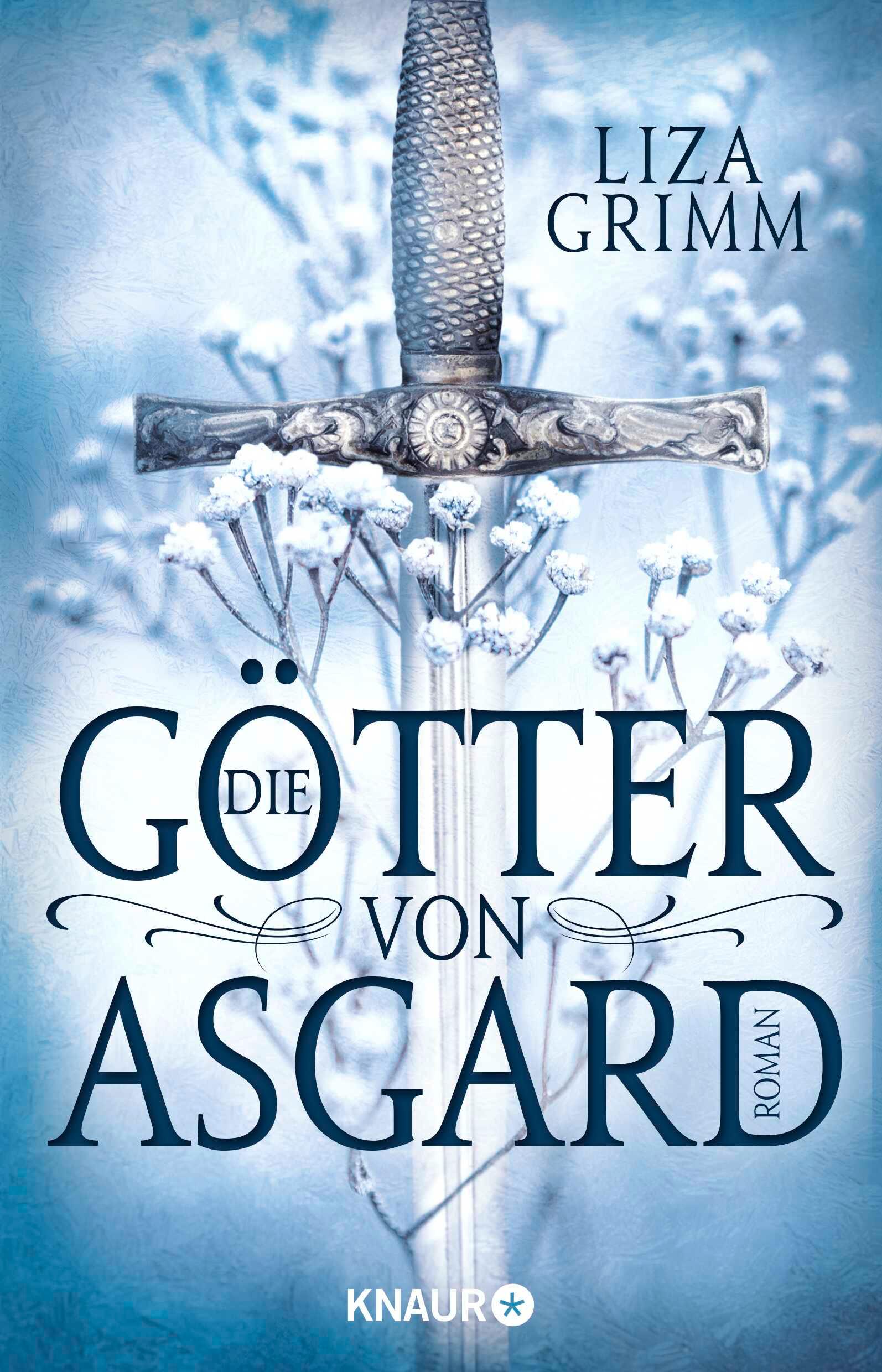 Vorderes Coverbild Die Götter von Asgard