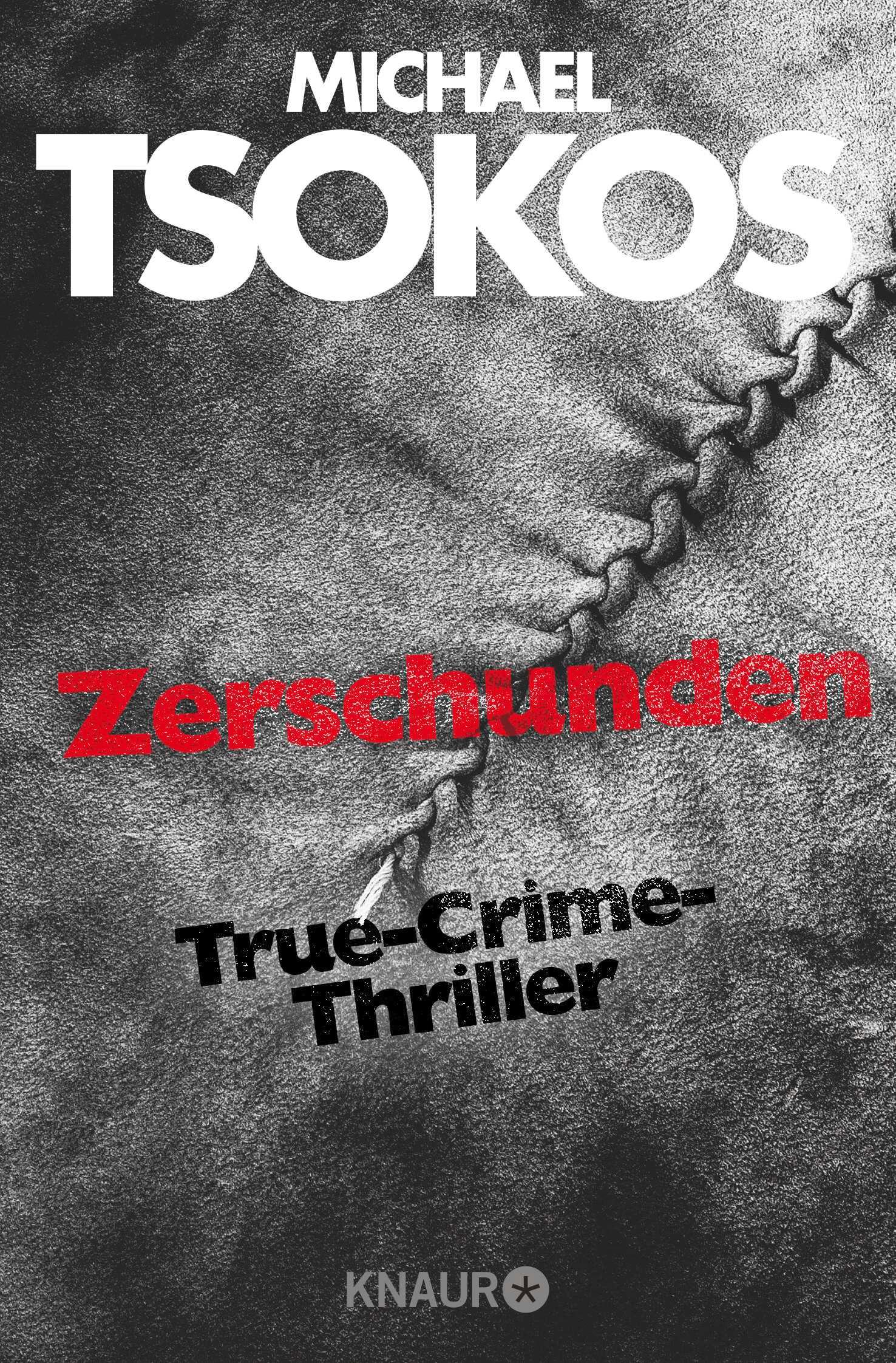 Vorderes Coverbild Zerschunden