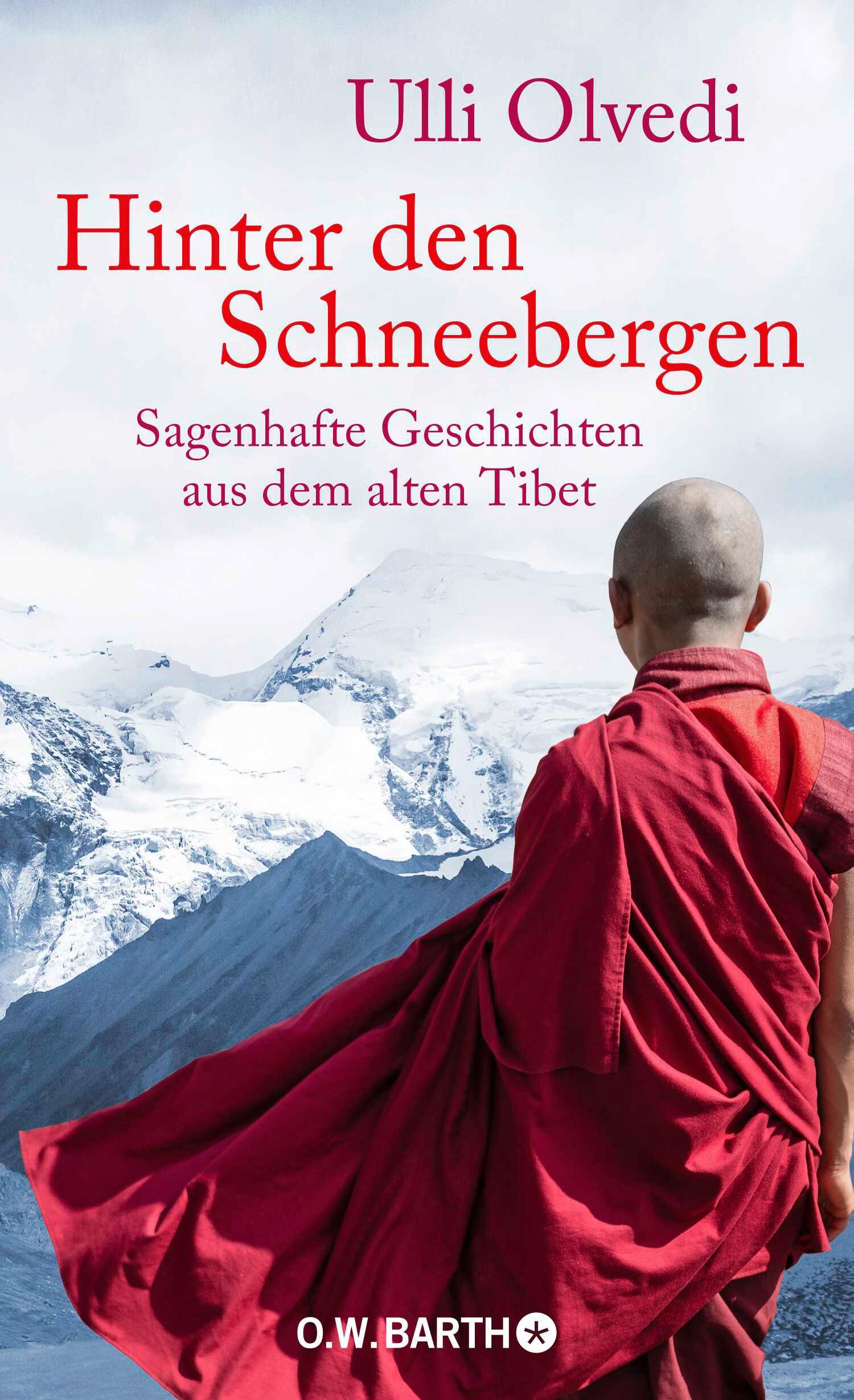 Vorderes Coverbild Hinter den Schneebergen