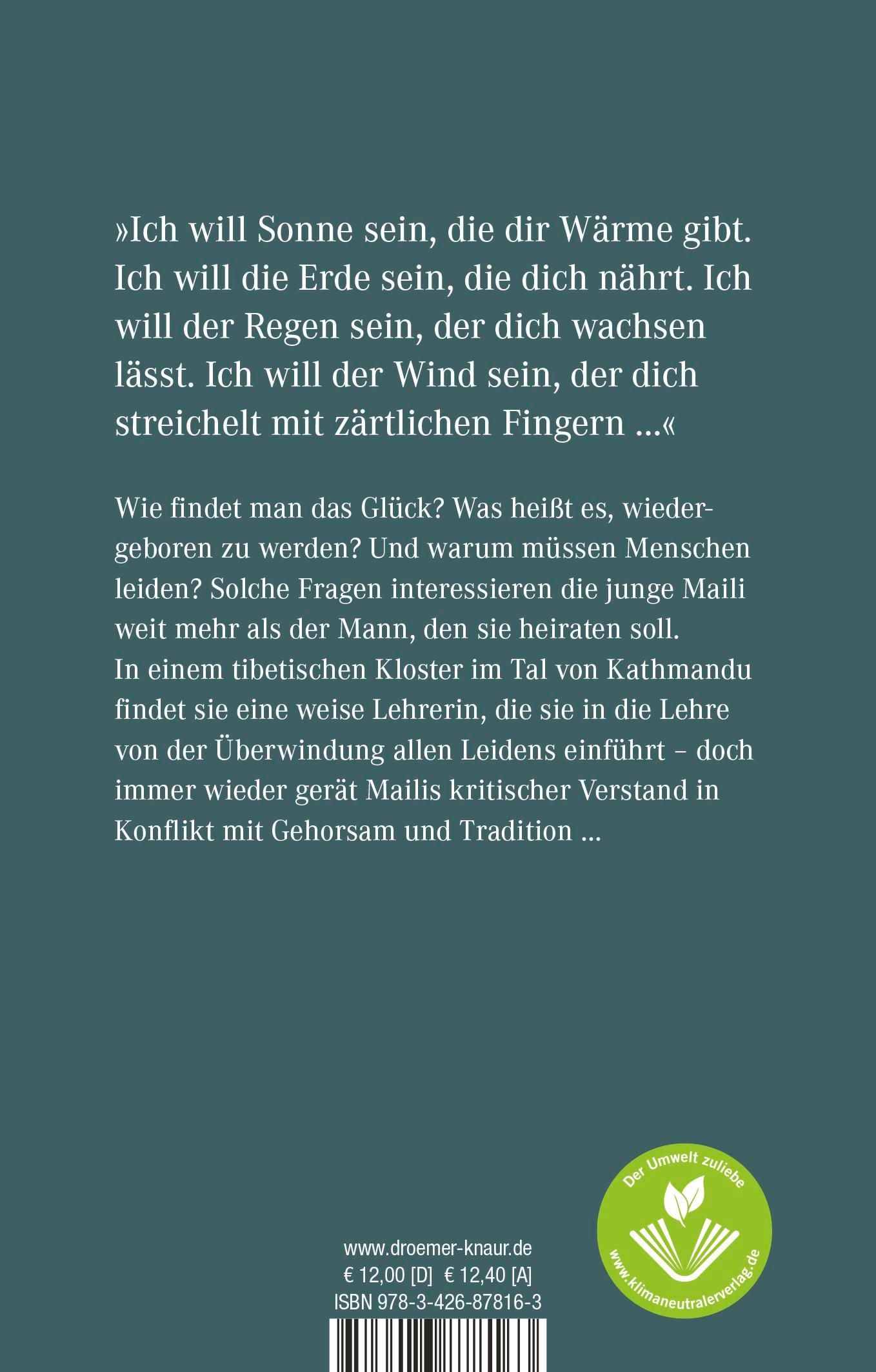 Rückseitencover Wie in einem Traum