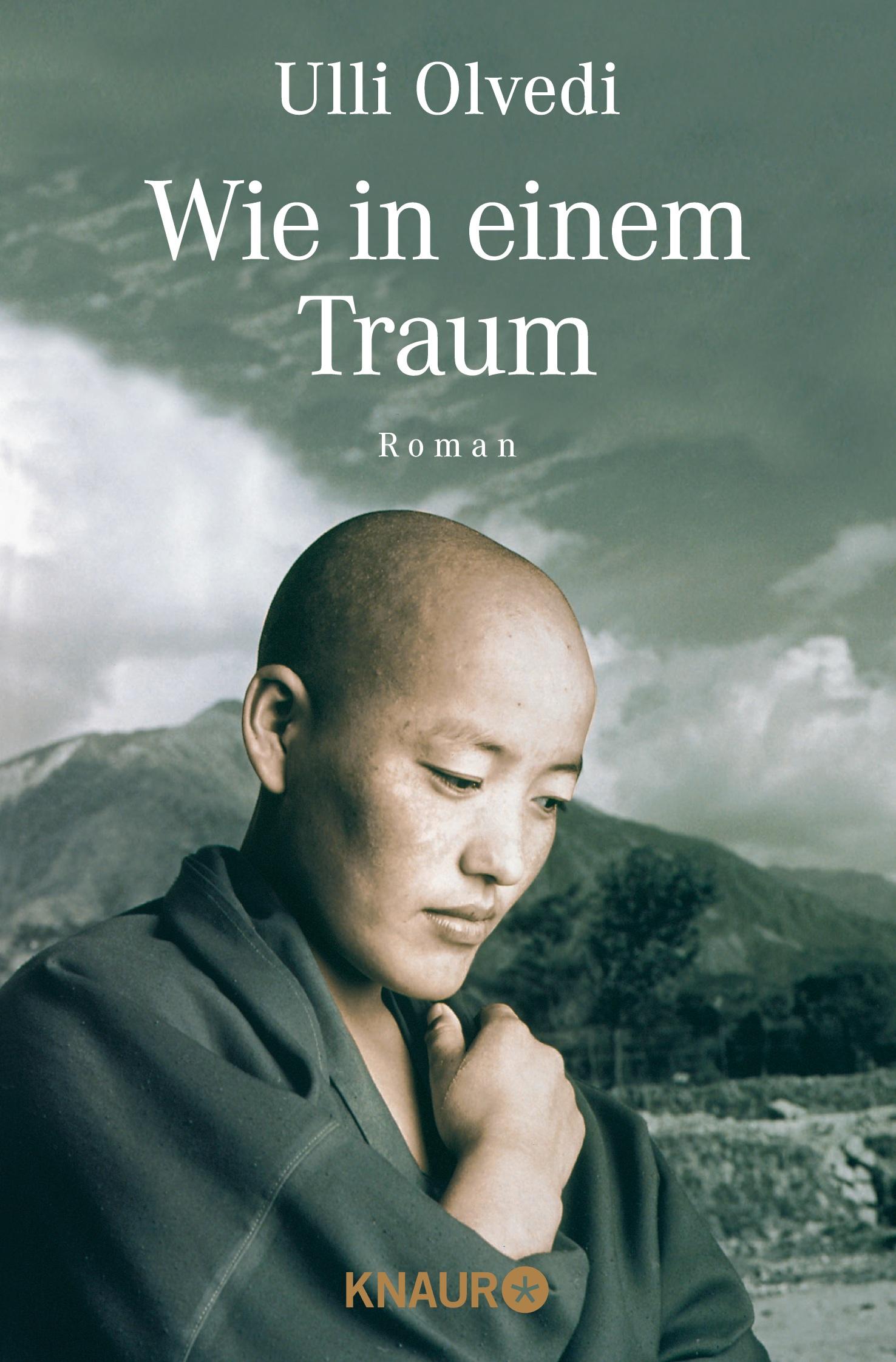 Vorderes Coverbild Wie in einem Traum