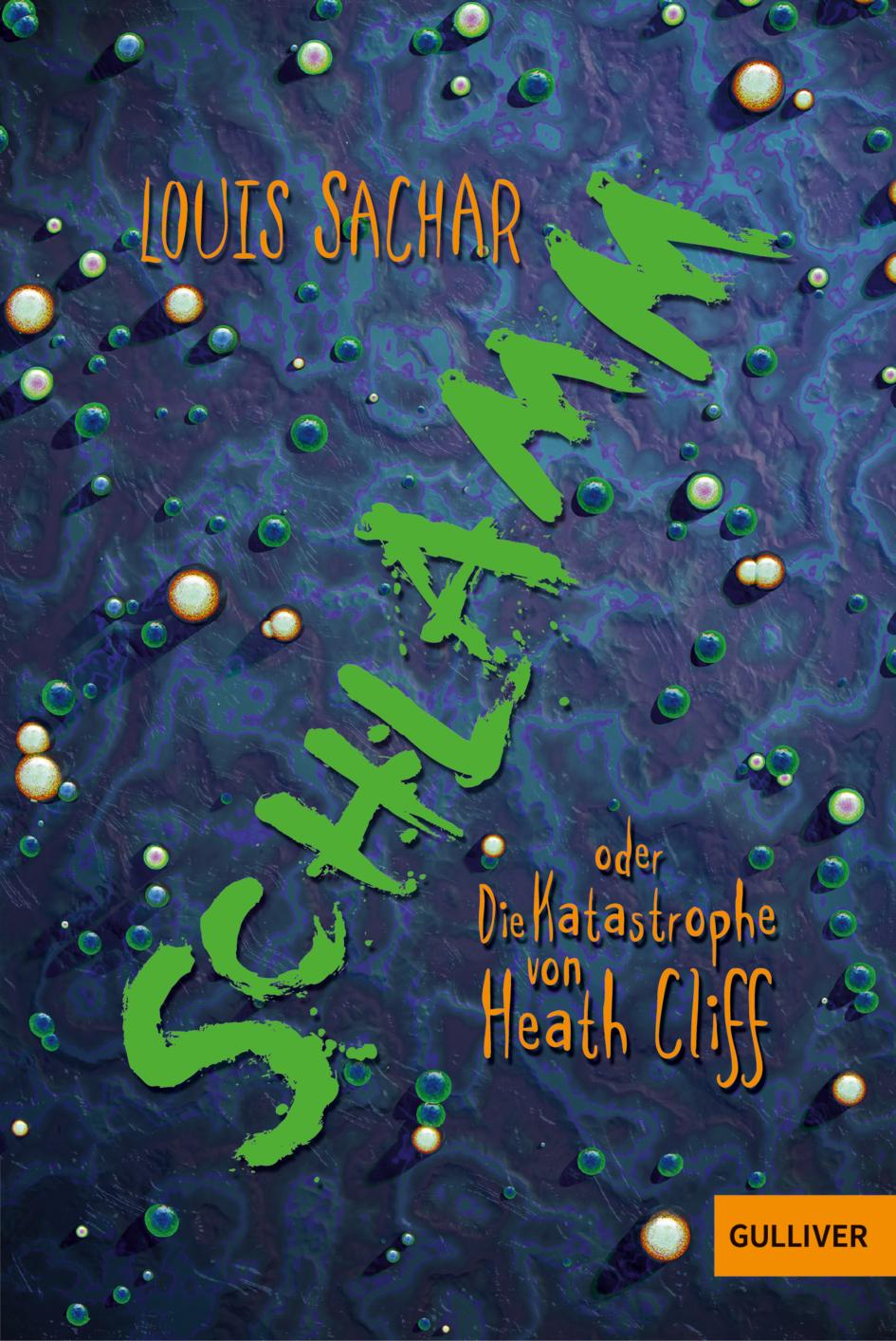 Vorderes Coverbild Schlamm oder Die Katastrophe von Heath Cliff