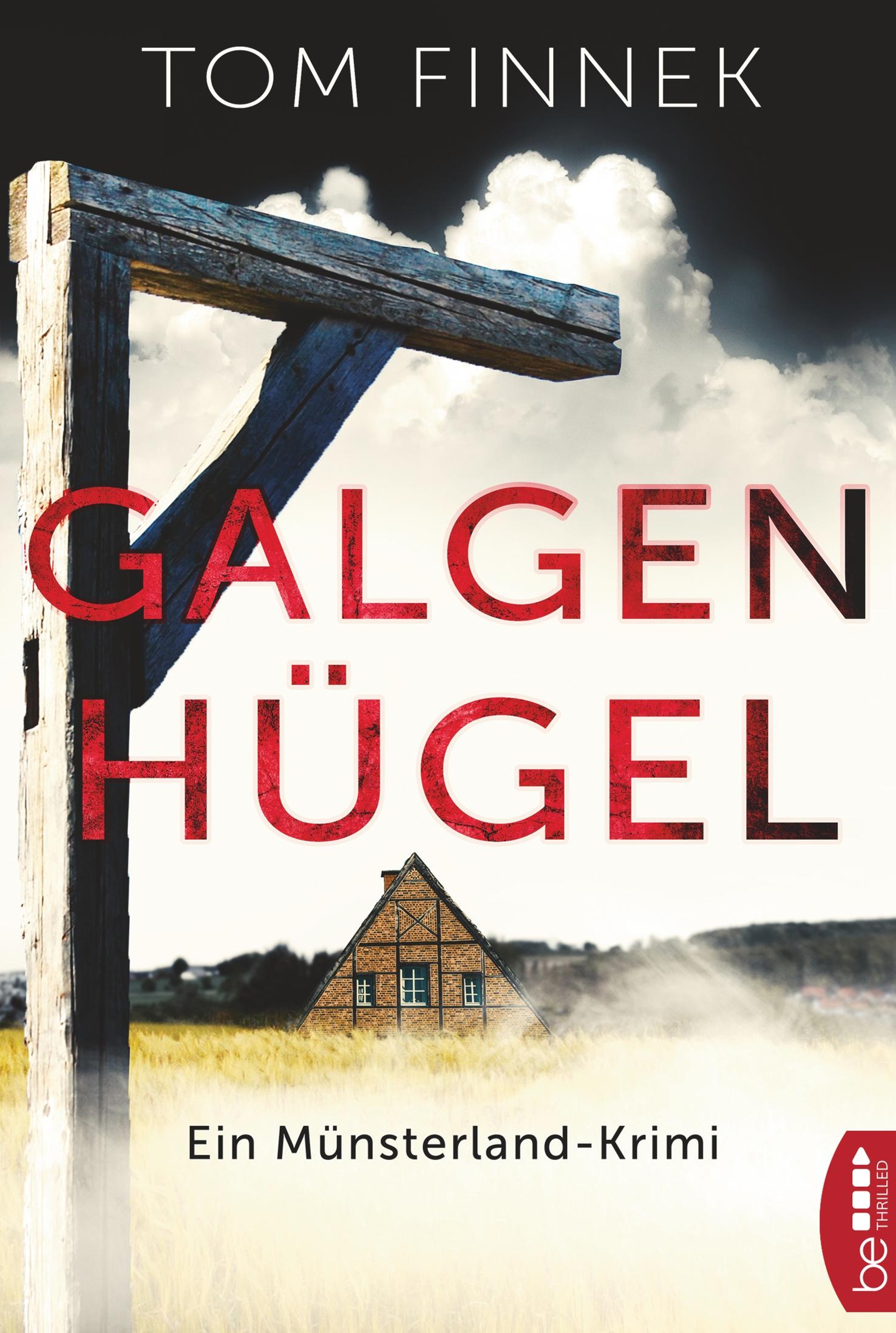 Vorderes Coverbild Galgenhügel