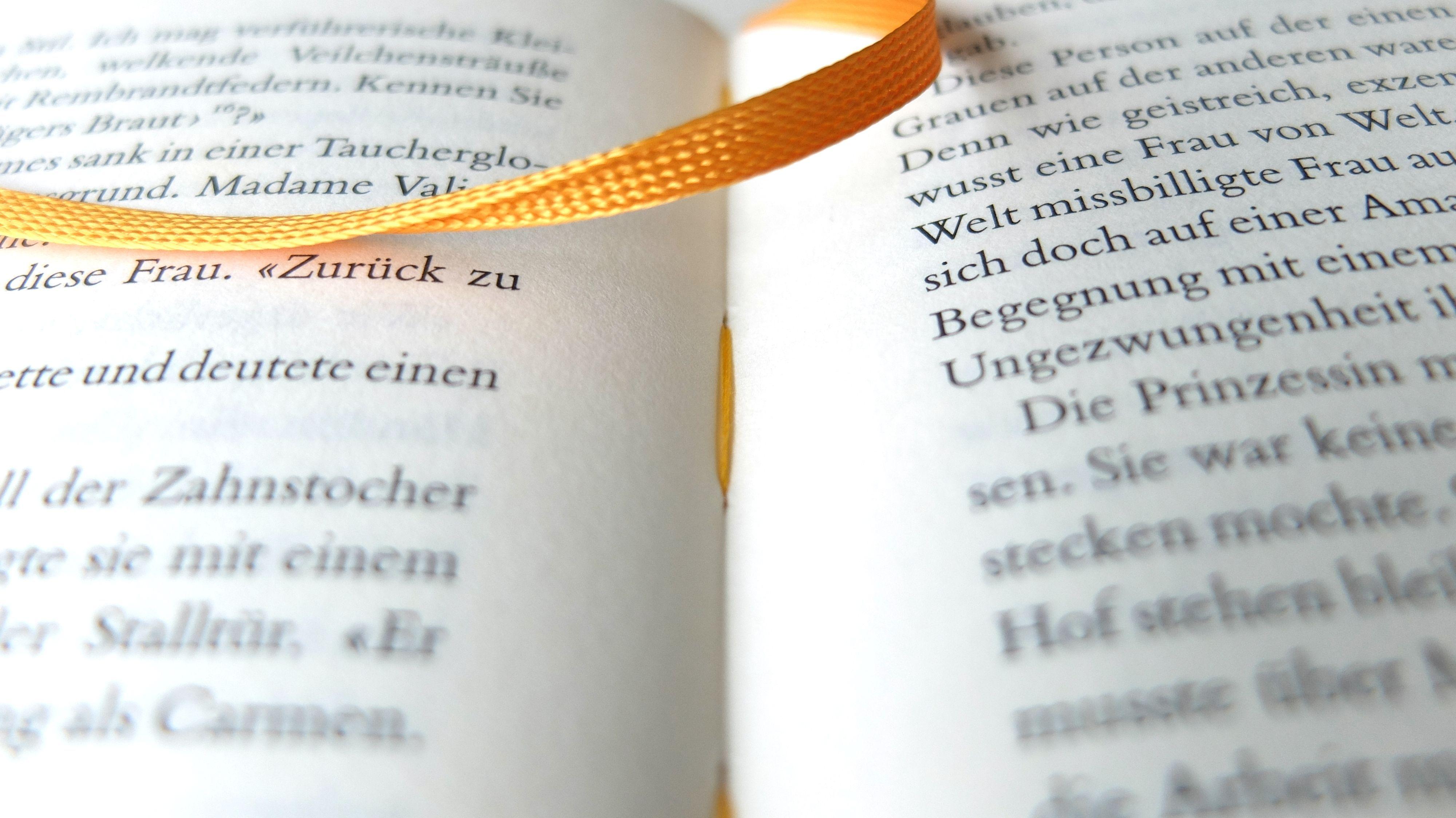 Beispielinhalt (Bild) Thomas der Schwindler