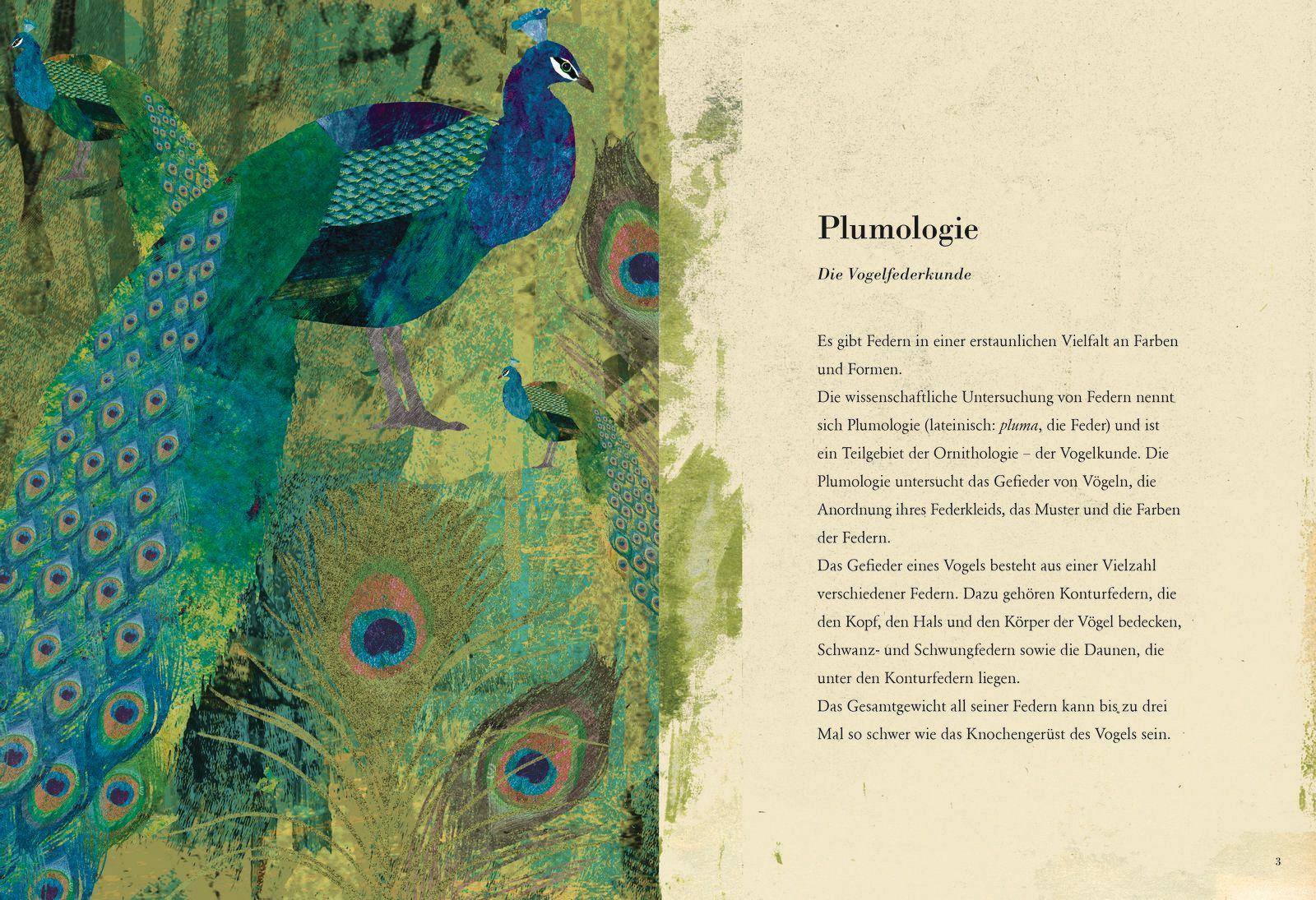 Beispielinhalt (Bild) Die Feder