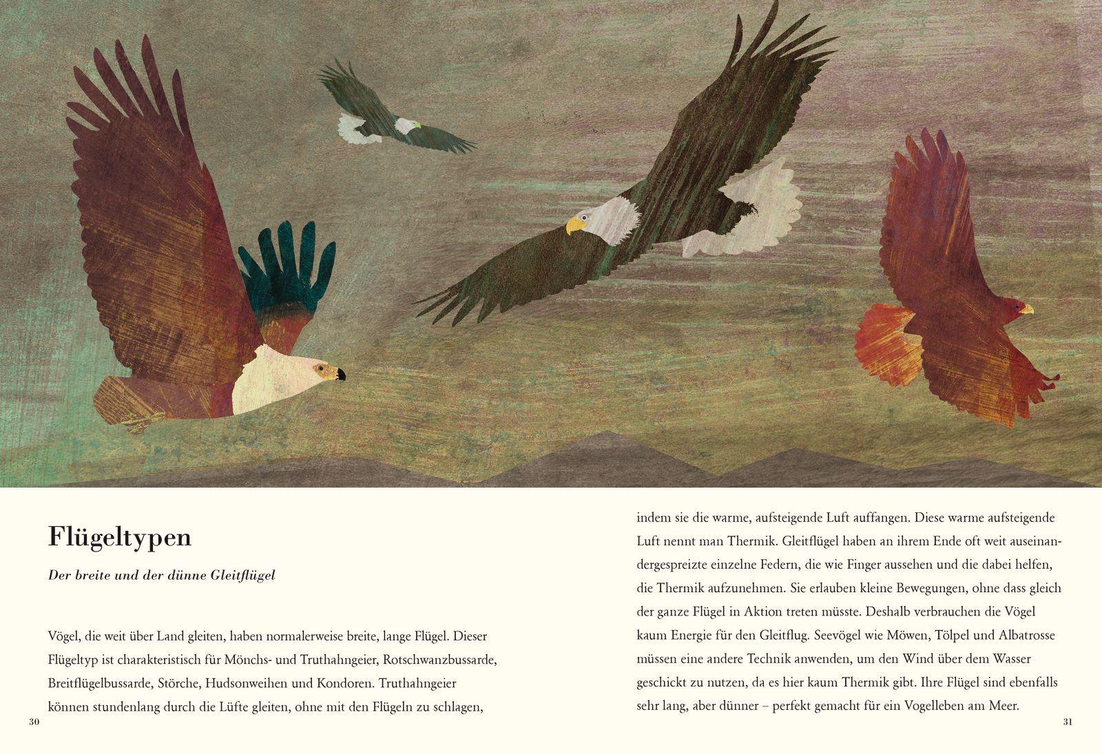 Beispielinhalt (Bild) Die Feder