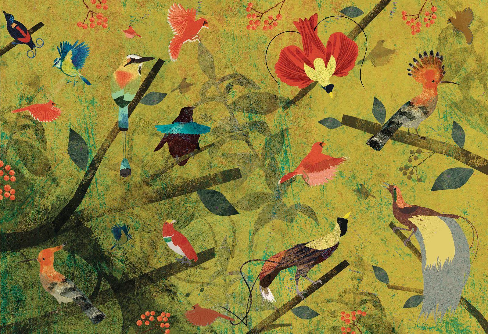 Beispielinhalt (Bild) Die Feder