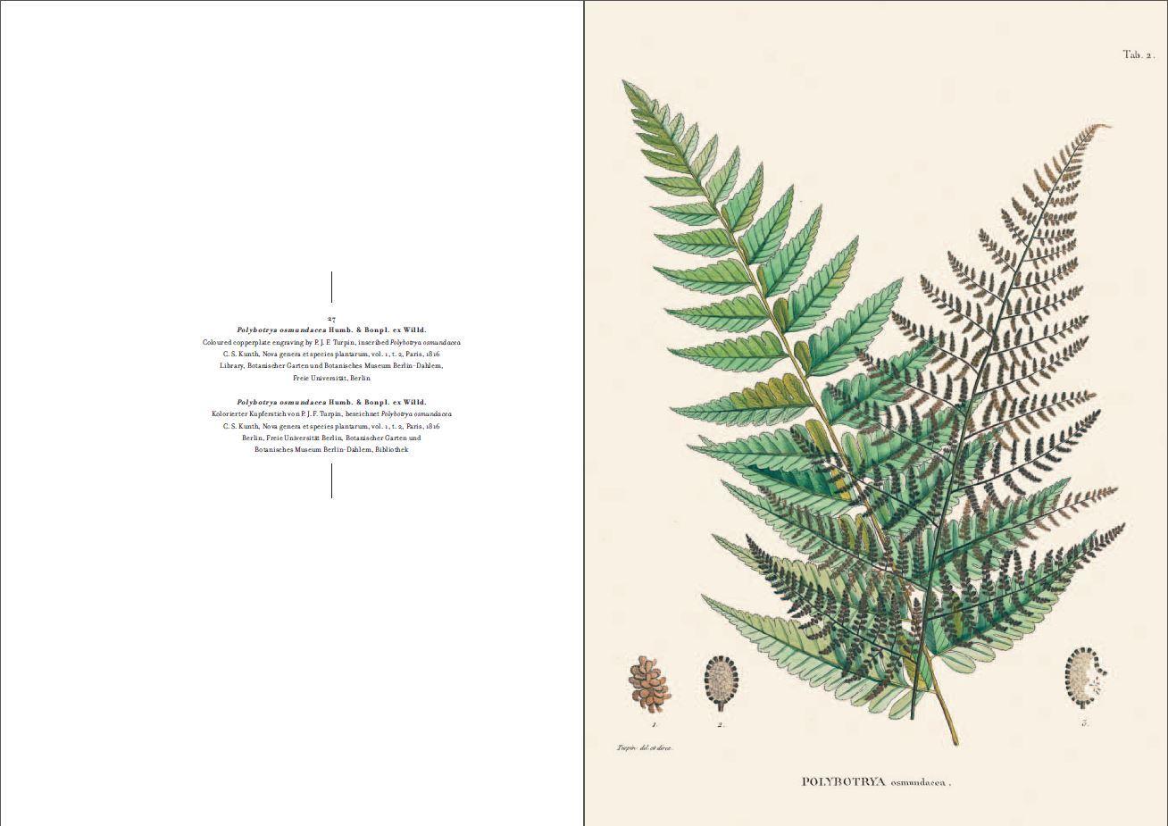 Beispielinhalt (Bild) Alexander von Humboldt und die botanische Erforschung Amerikas