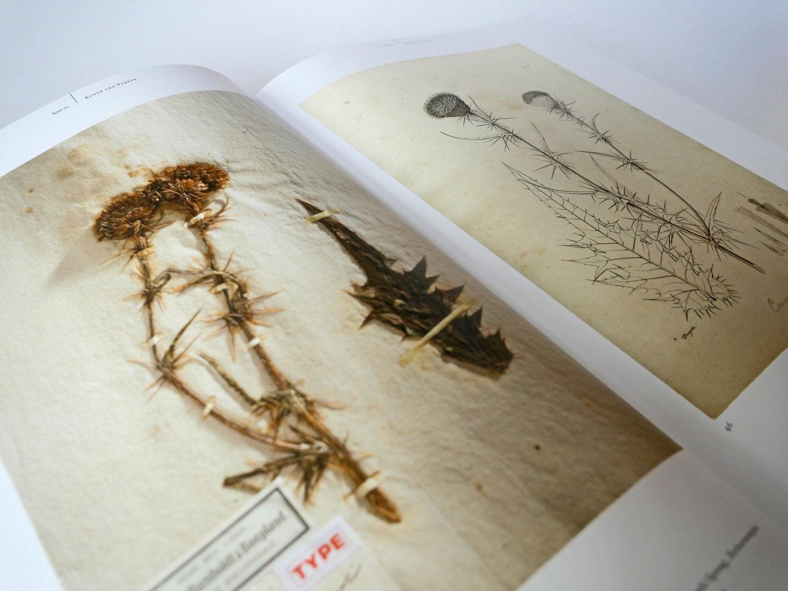 Beispielinhalt (Bild) Alexander von Humboldt und die botanische Erforschung Amerikas