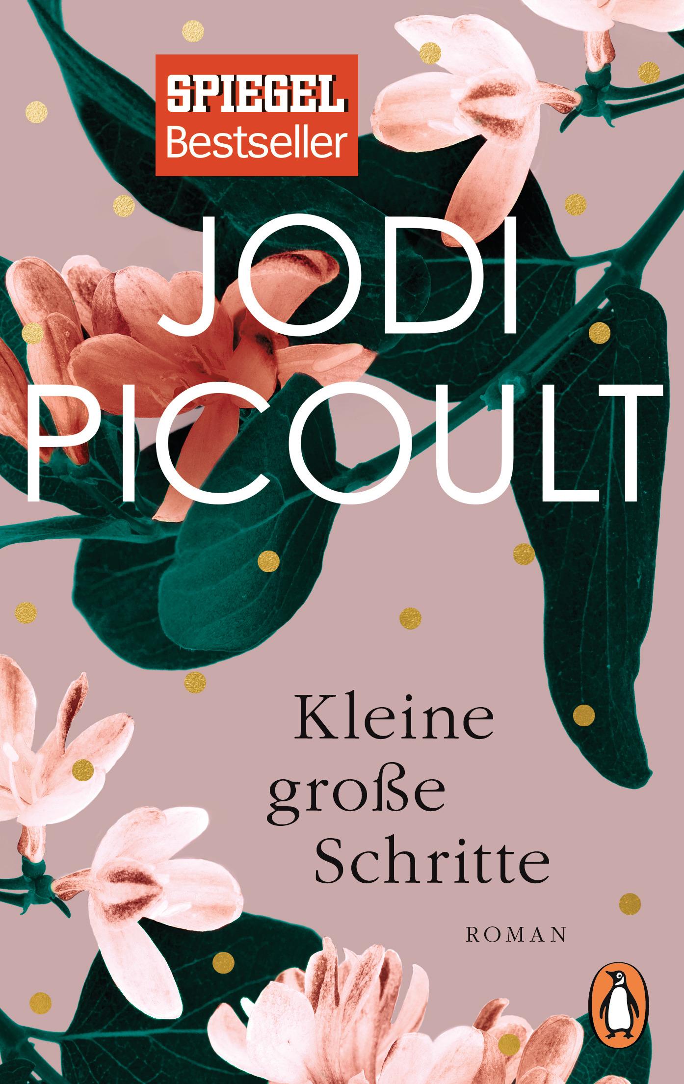 Vorderes Coverbild Kleine große Schritte