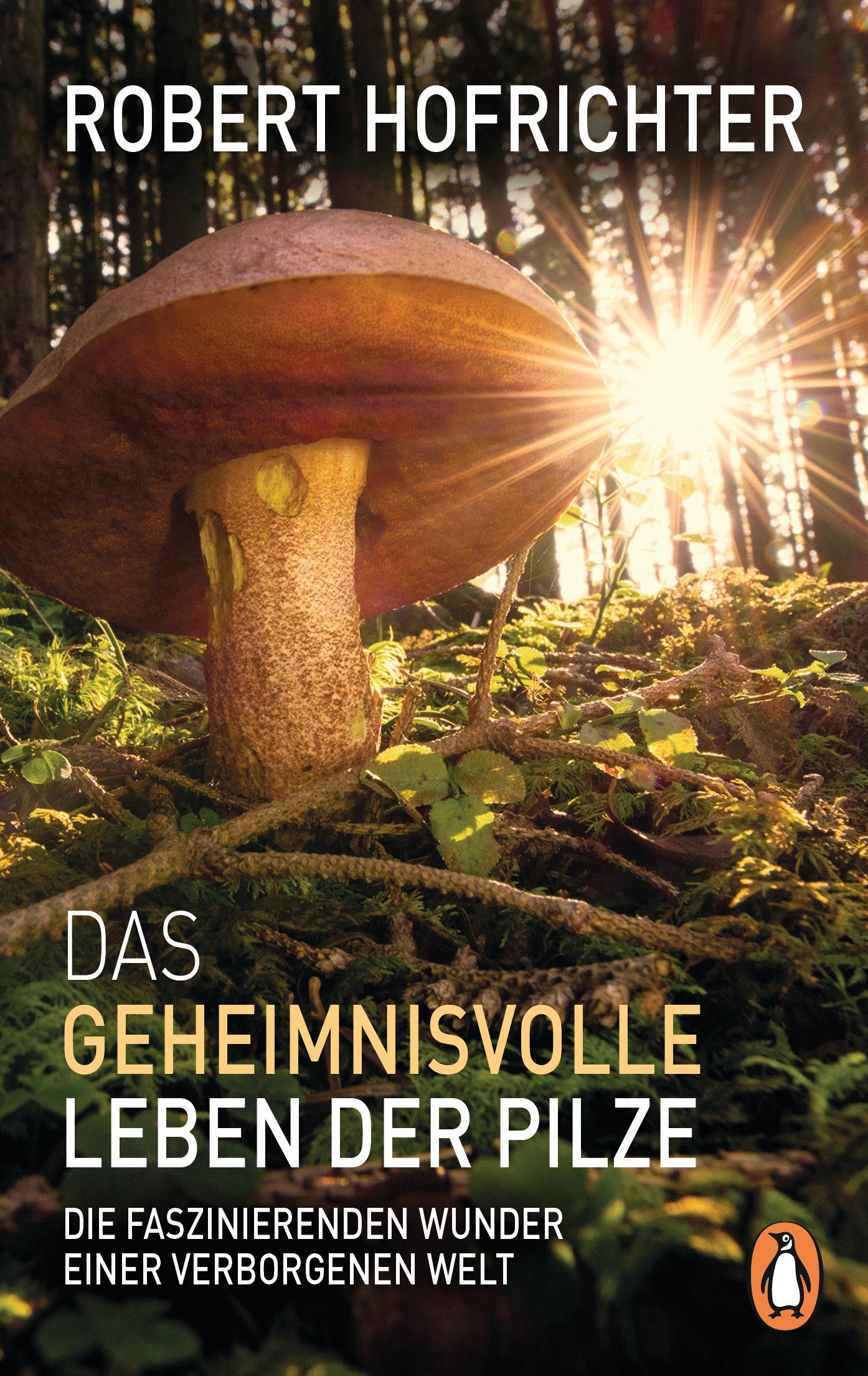 Vorderes Coverbild Das geheimnisvolle Leben der Pilze