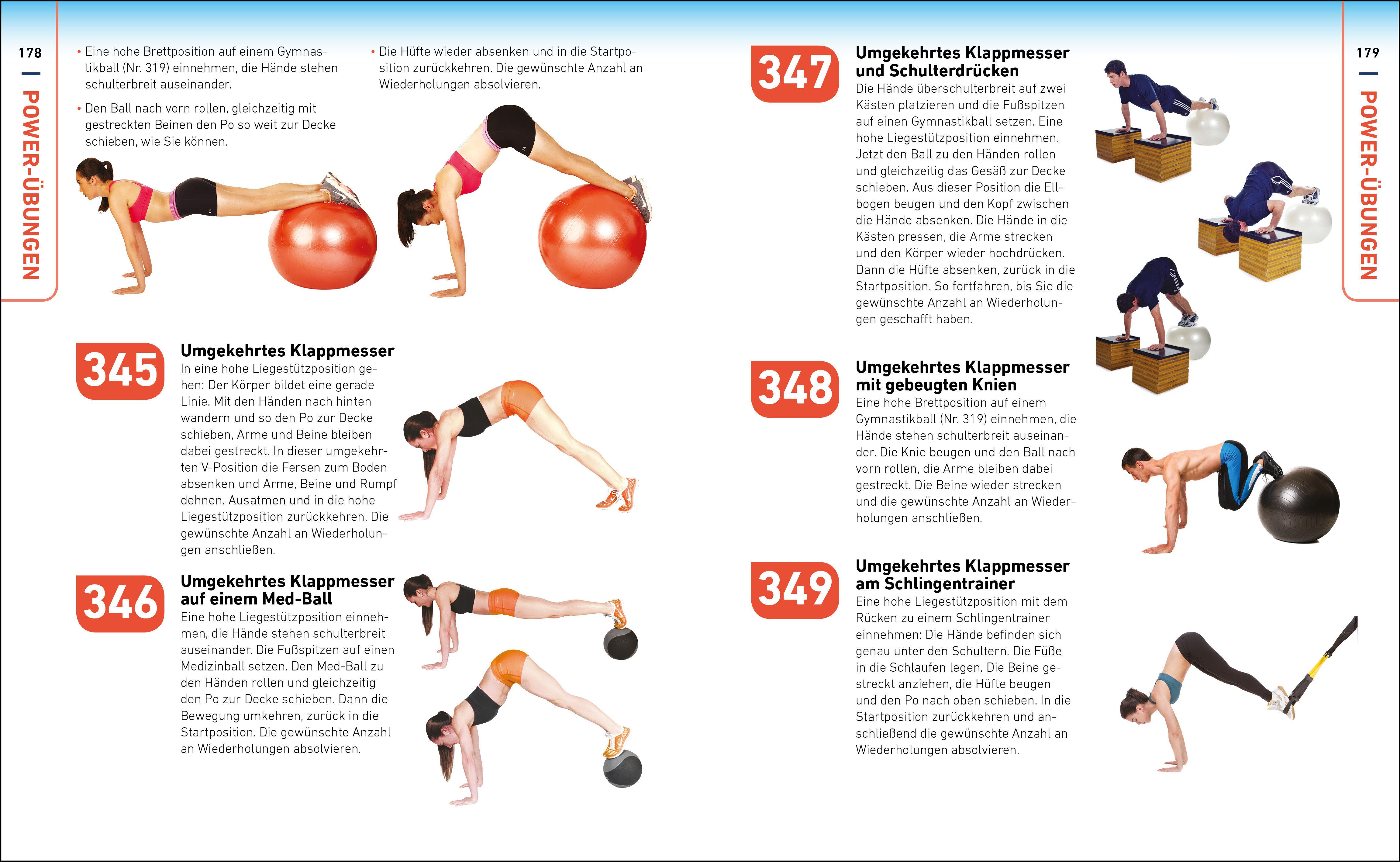 Beispielinhalt (Bild) Die H.I.T.-Bibel