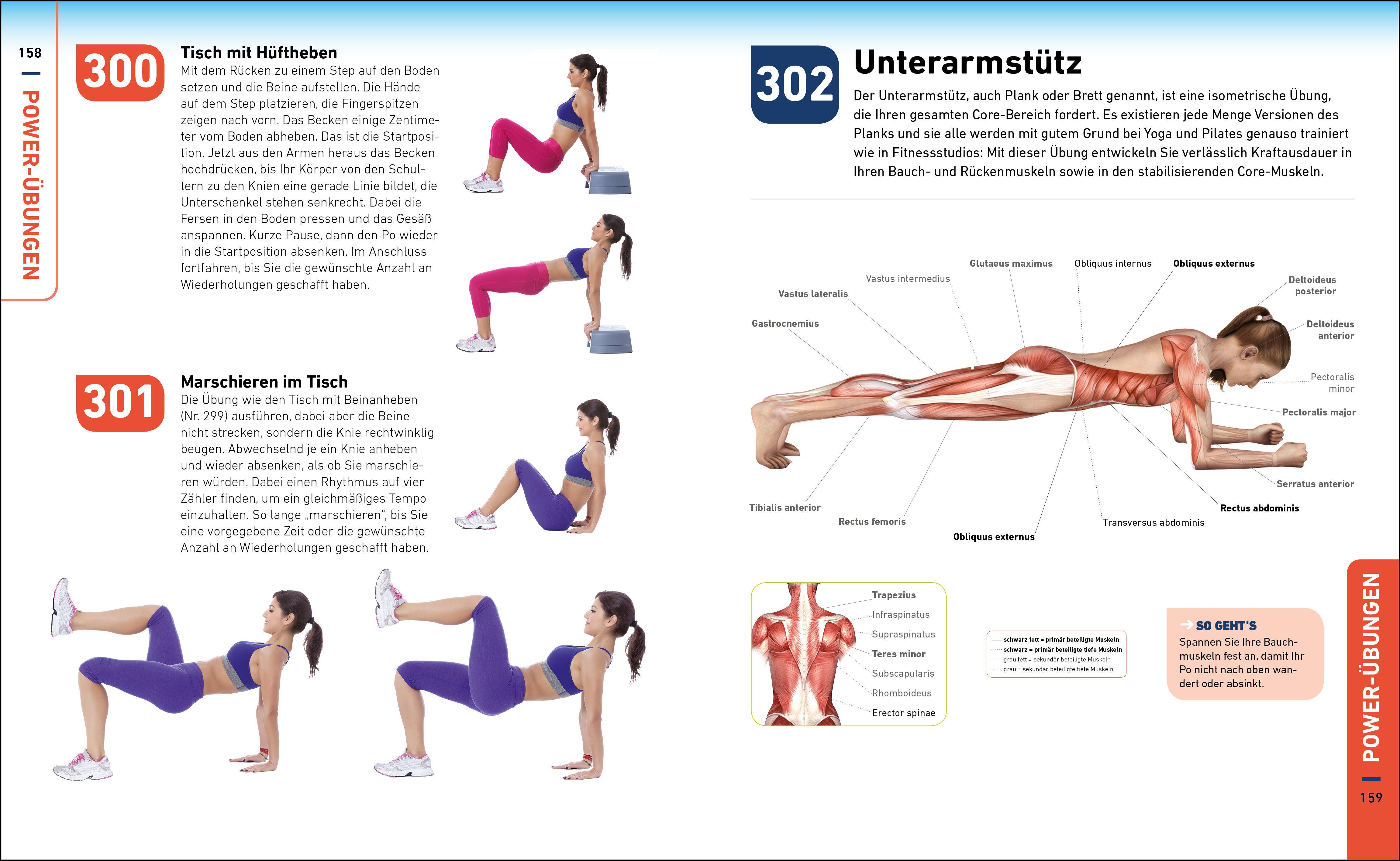 Beispielinhalt (Bild) Die H.I.T.-Bibel